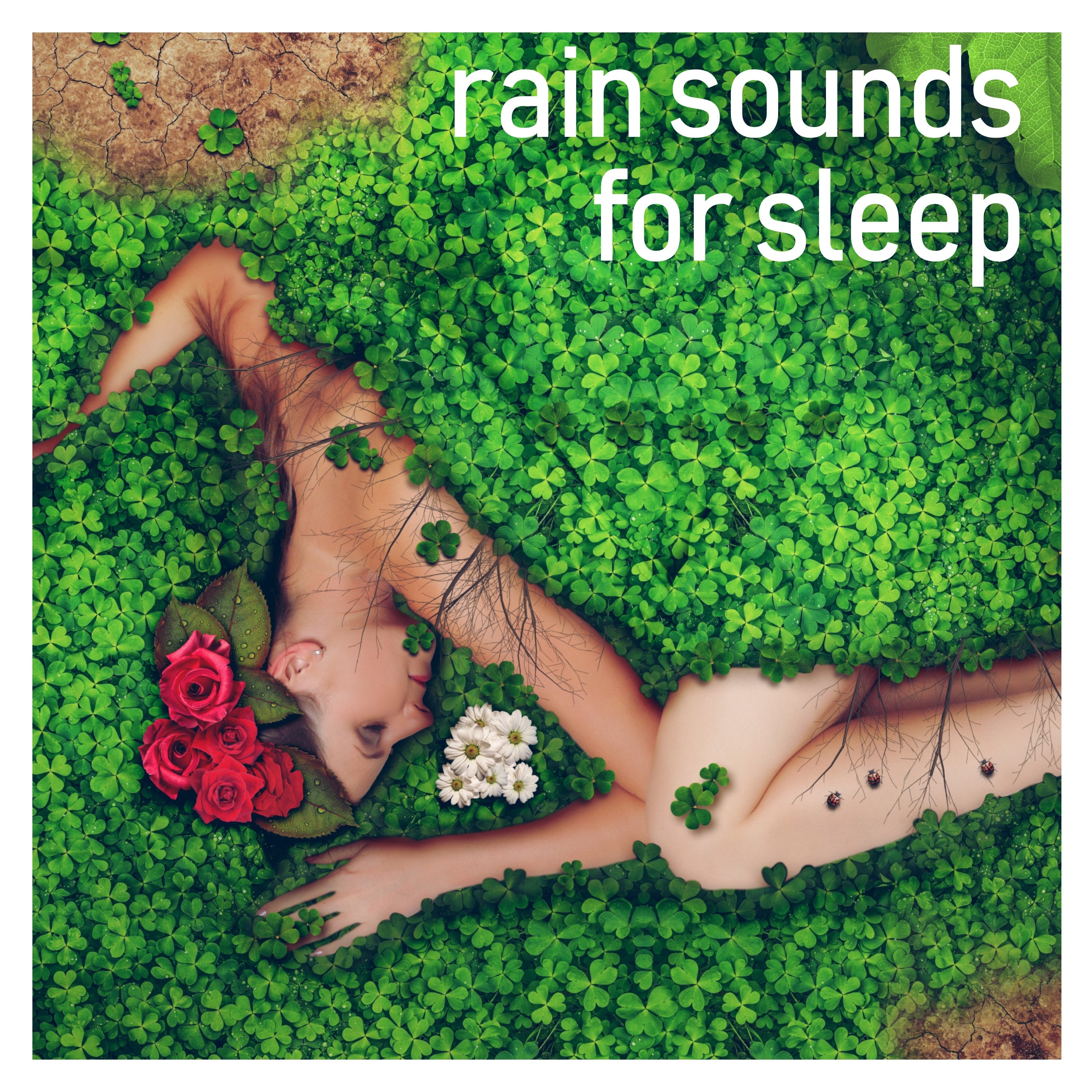 18 Sleep, Spa & Zen Relaxation Tracks