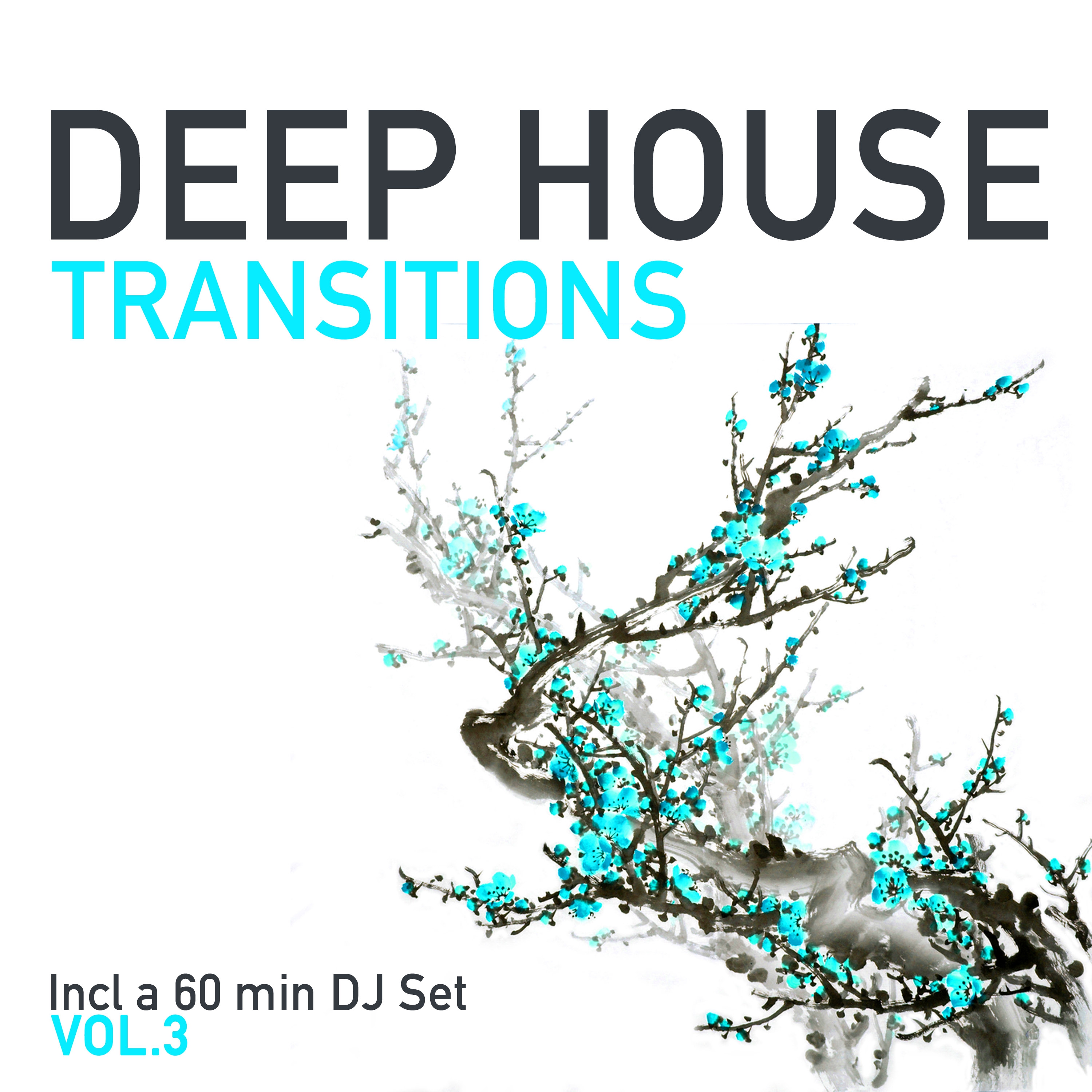 Deep House Transitions, Vol. 3