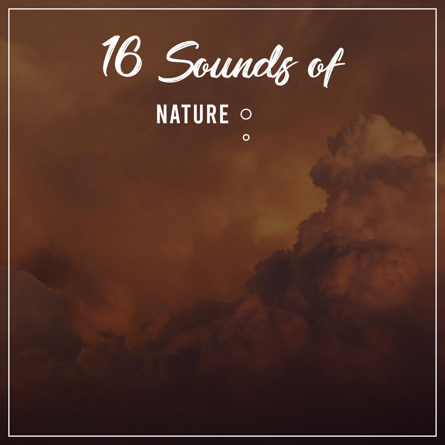 16 Sounds of Nature: Relaxing Sleep Sounds of Nature, Rainfall for Sleep, Loopable Rain, White Noise, Insomnia Sleep Aid