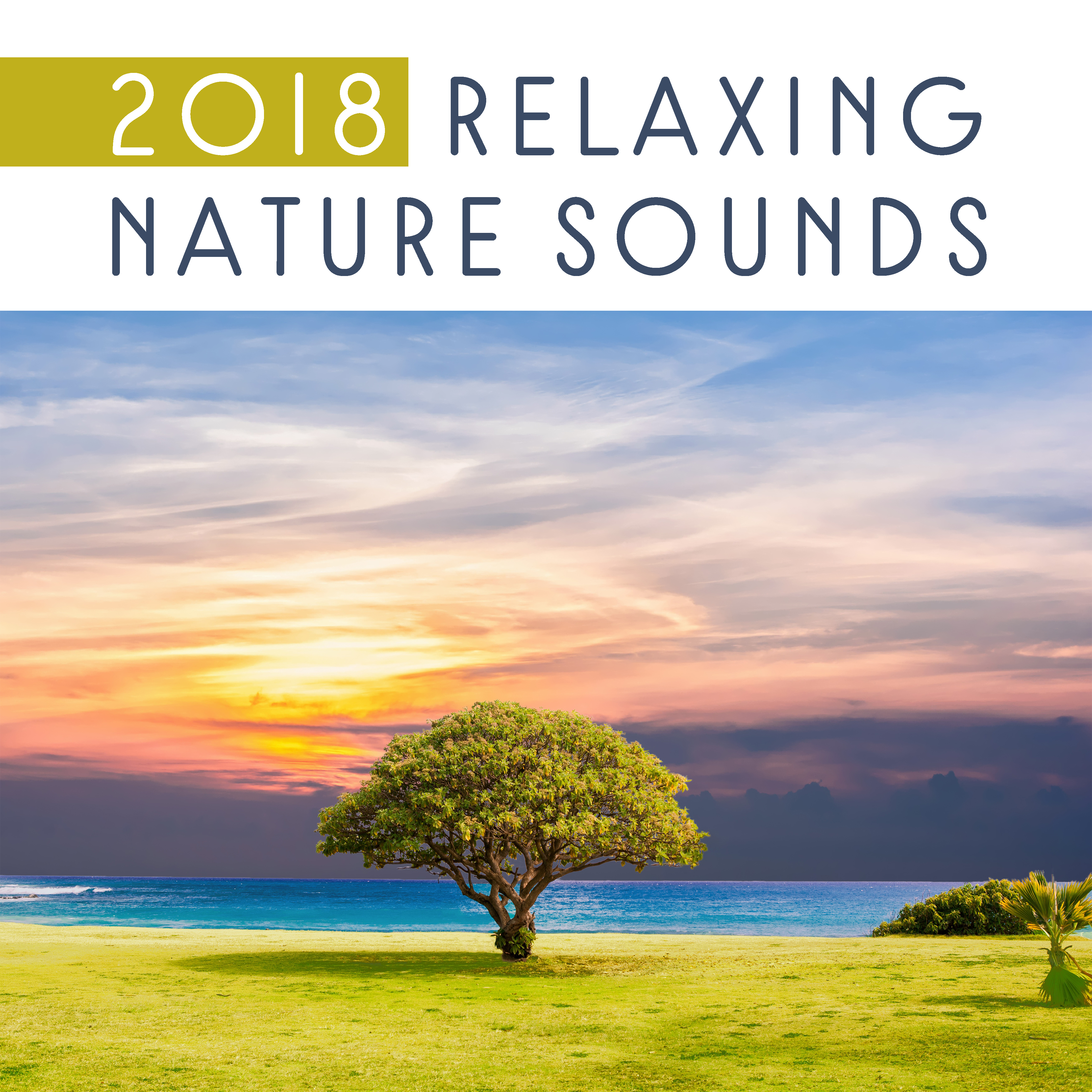 2018 Relaxing Nature Sounds
