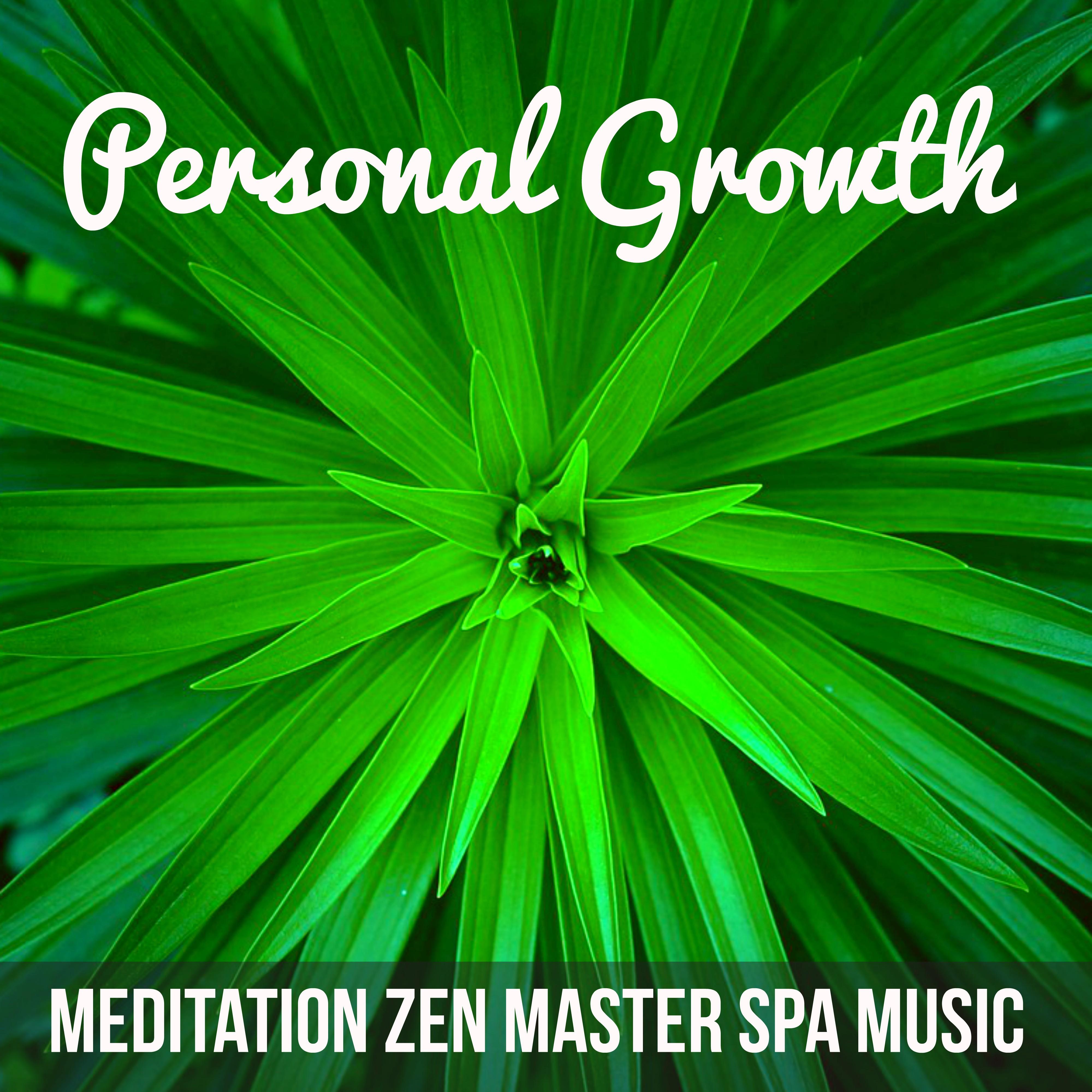 Personal Growth - Meditation Zen Master Spa Music Collective for Mindfulness Exercises Therapeutic Yoga Spiritual Healing with Nature Instrumental Relaxing Sounds