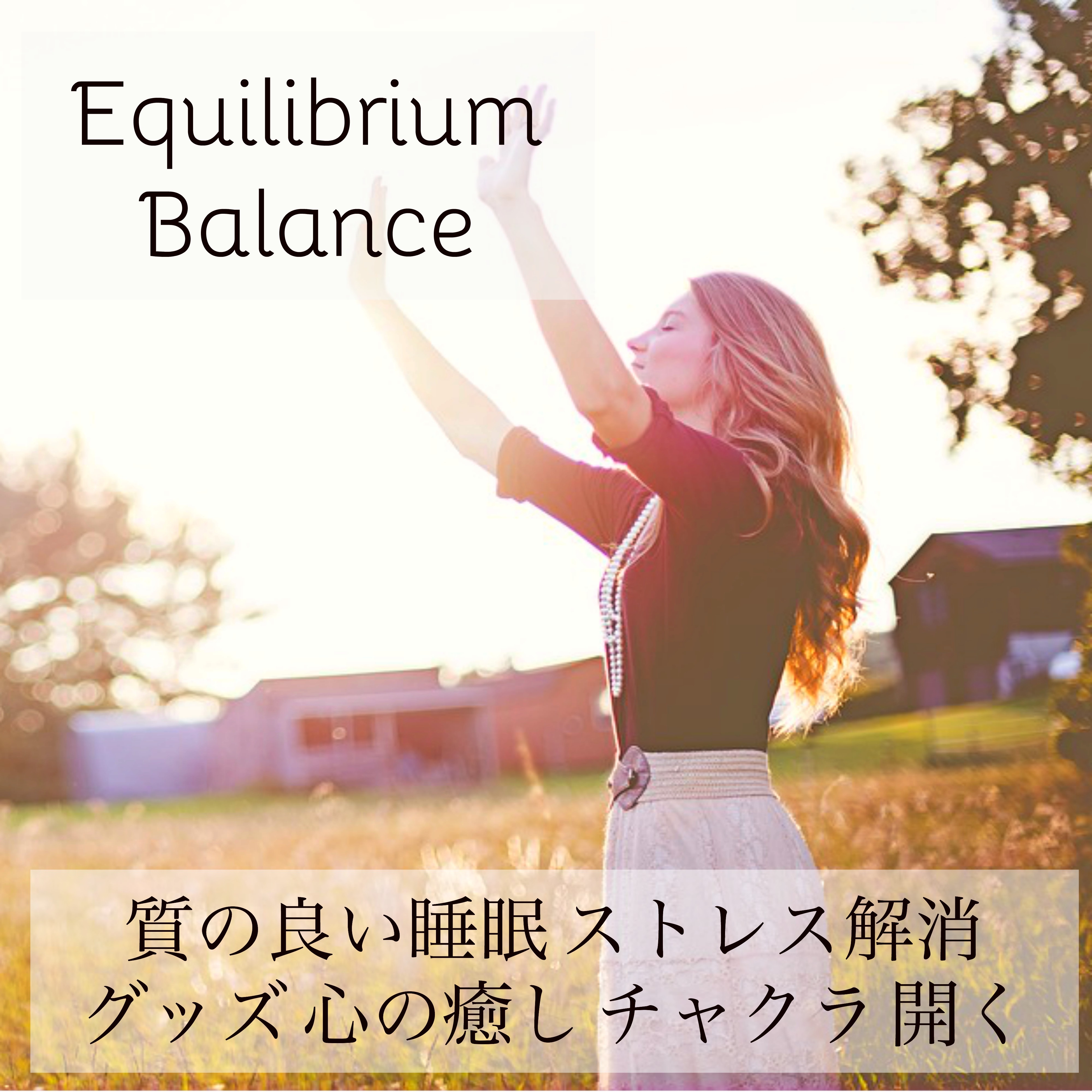 Equilibrium Balance  zhi liang shui mian jie xiao xin yu  kai