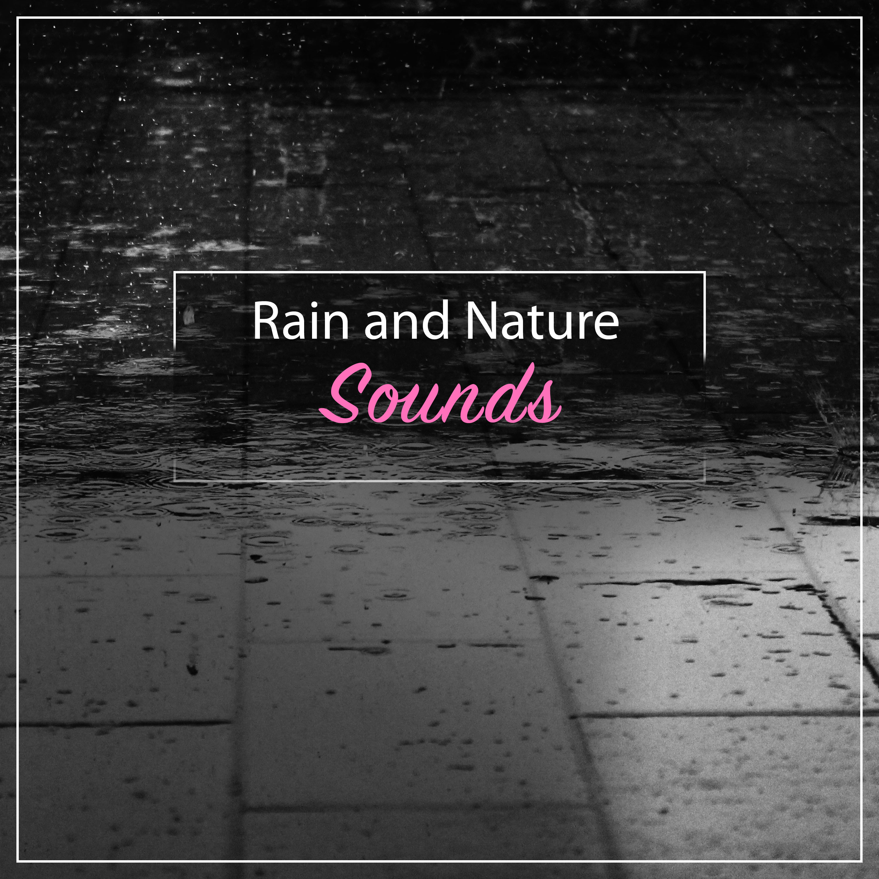 #18 Rain and Nature Sounds to Calm the Mind