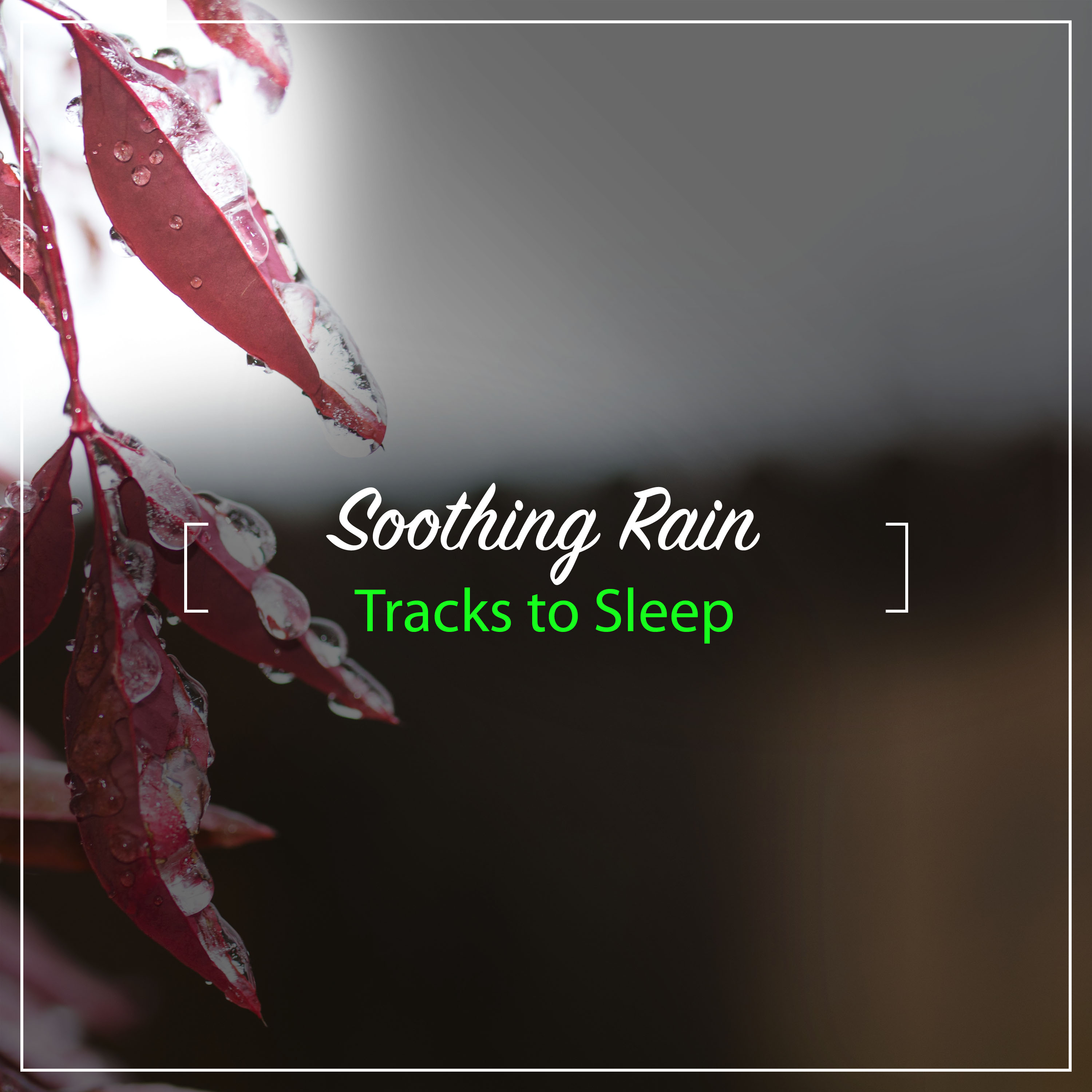 15 Soothing Rain Tracks to Sleep Eight Hours