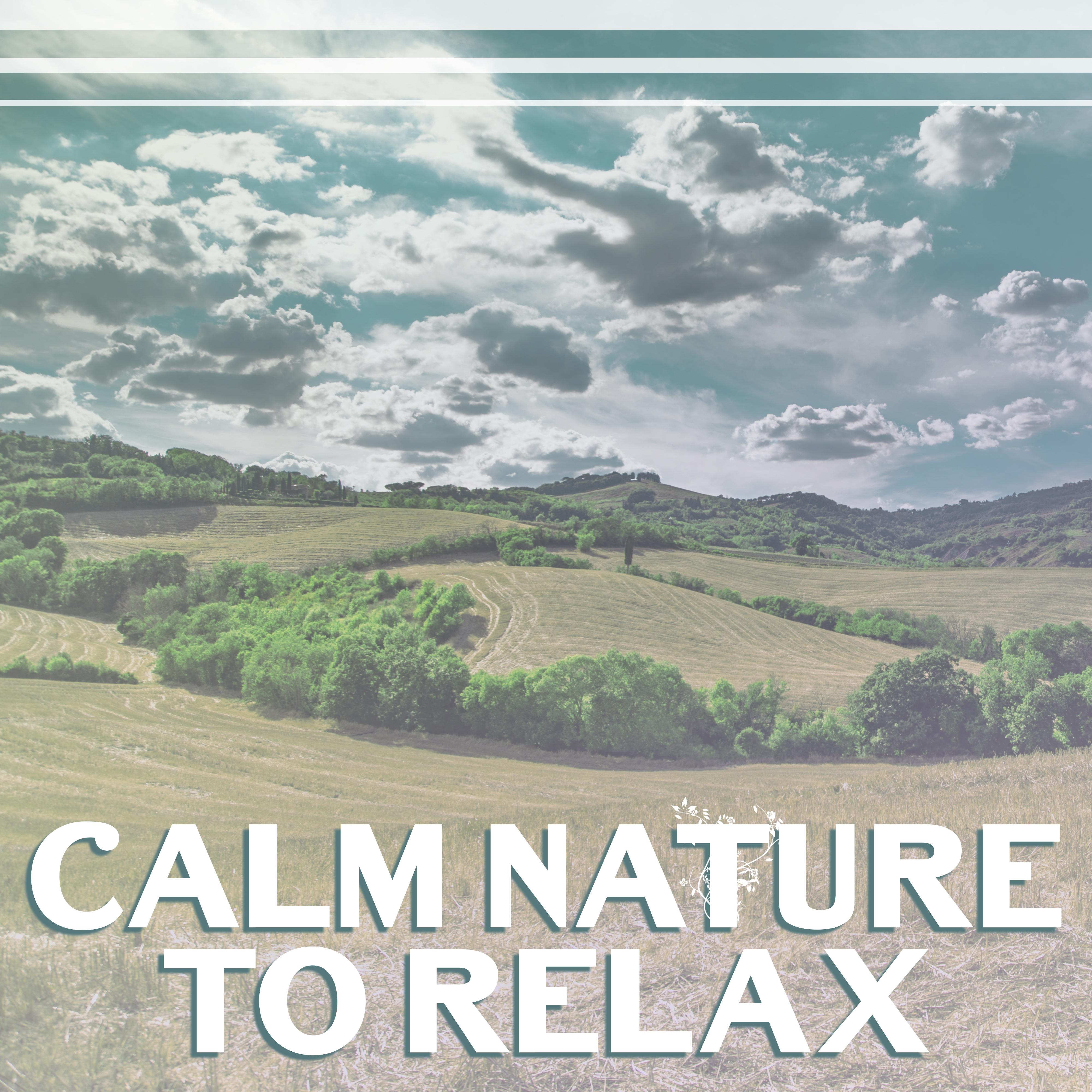Calm Nature to Relax  Soft Music to Help You Rest, Peaceful Mind Sounds, Good Ways to Relax