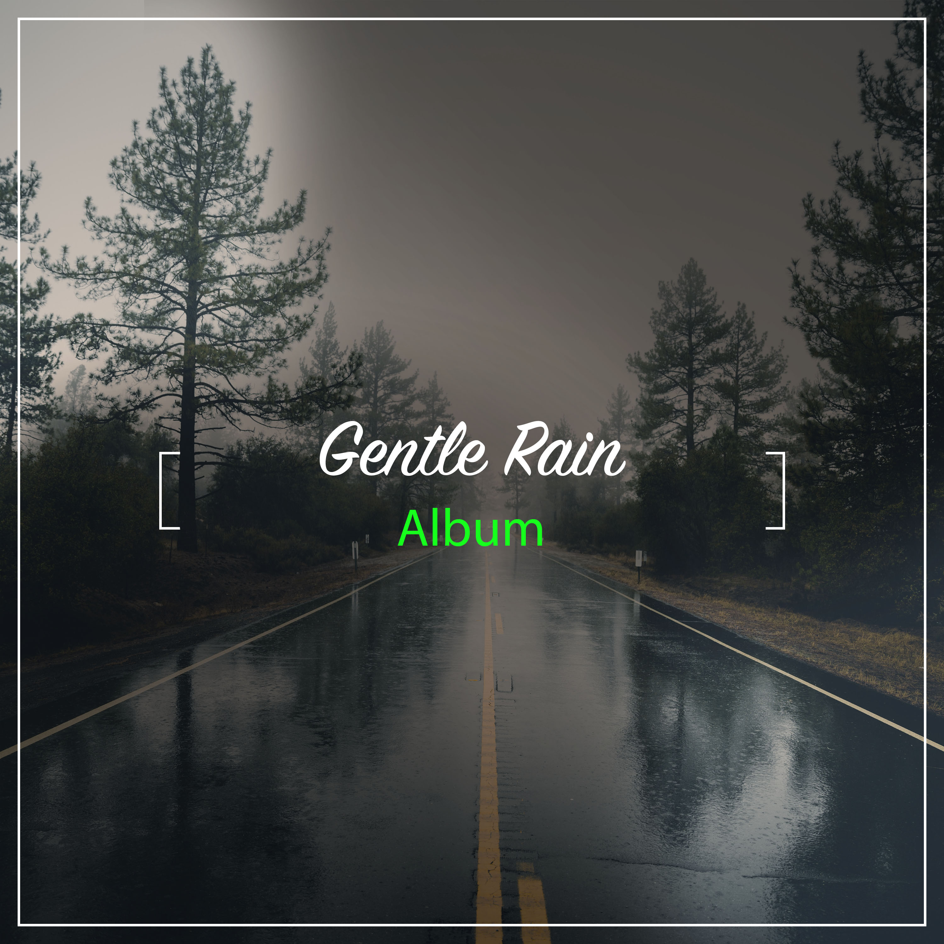 15 Gentle Rain Album to Rest Your Mind