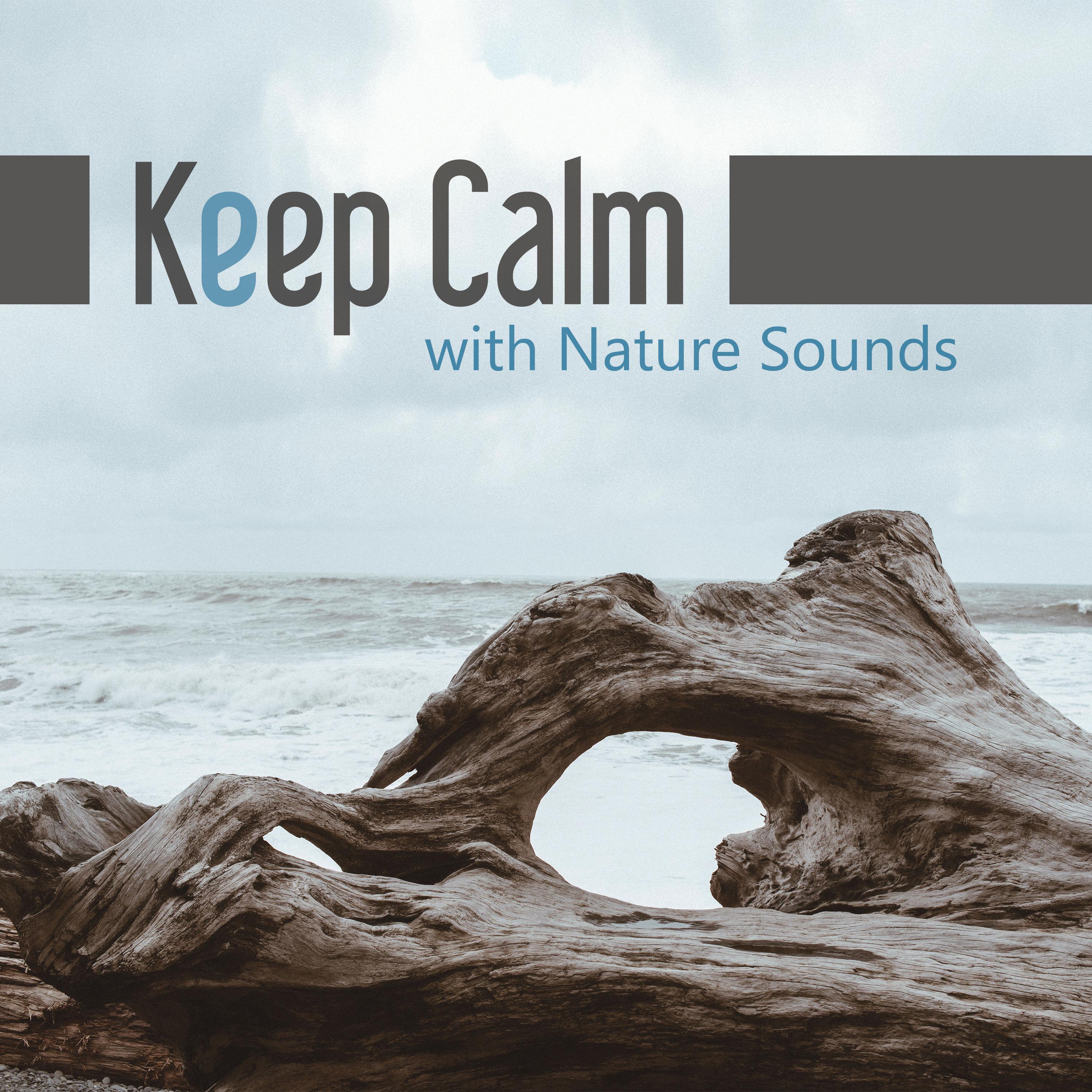 Keep Calm with Nature Sounds  Nature Sounds for Relaxation, Cure Insomnia, Soothing New Age Music