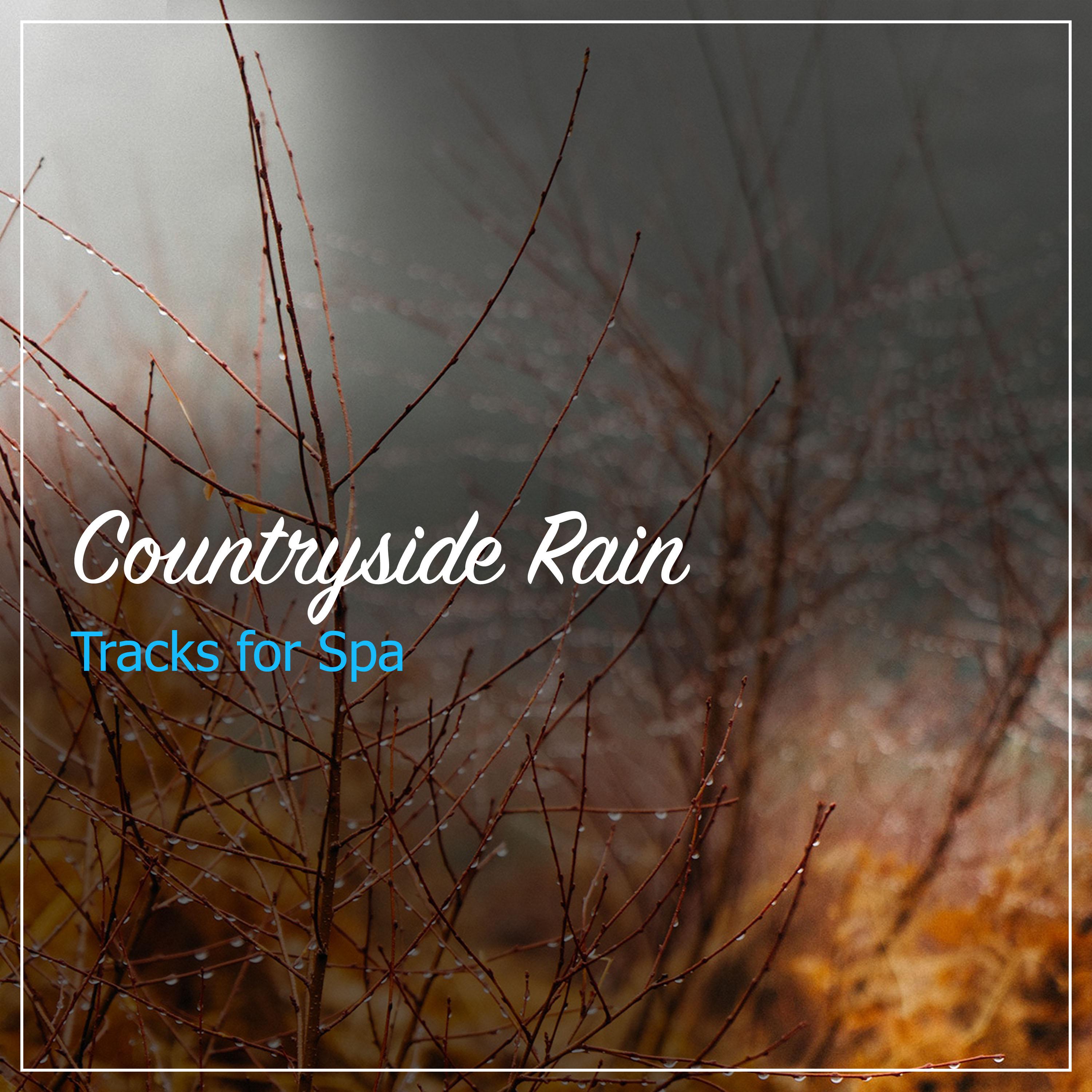 14 Countryside Rain Tracks for Spa Relaxation