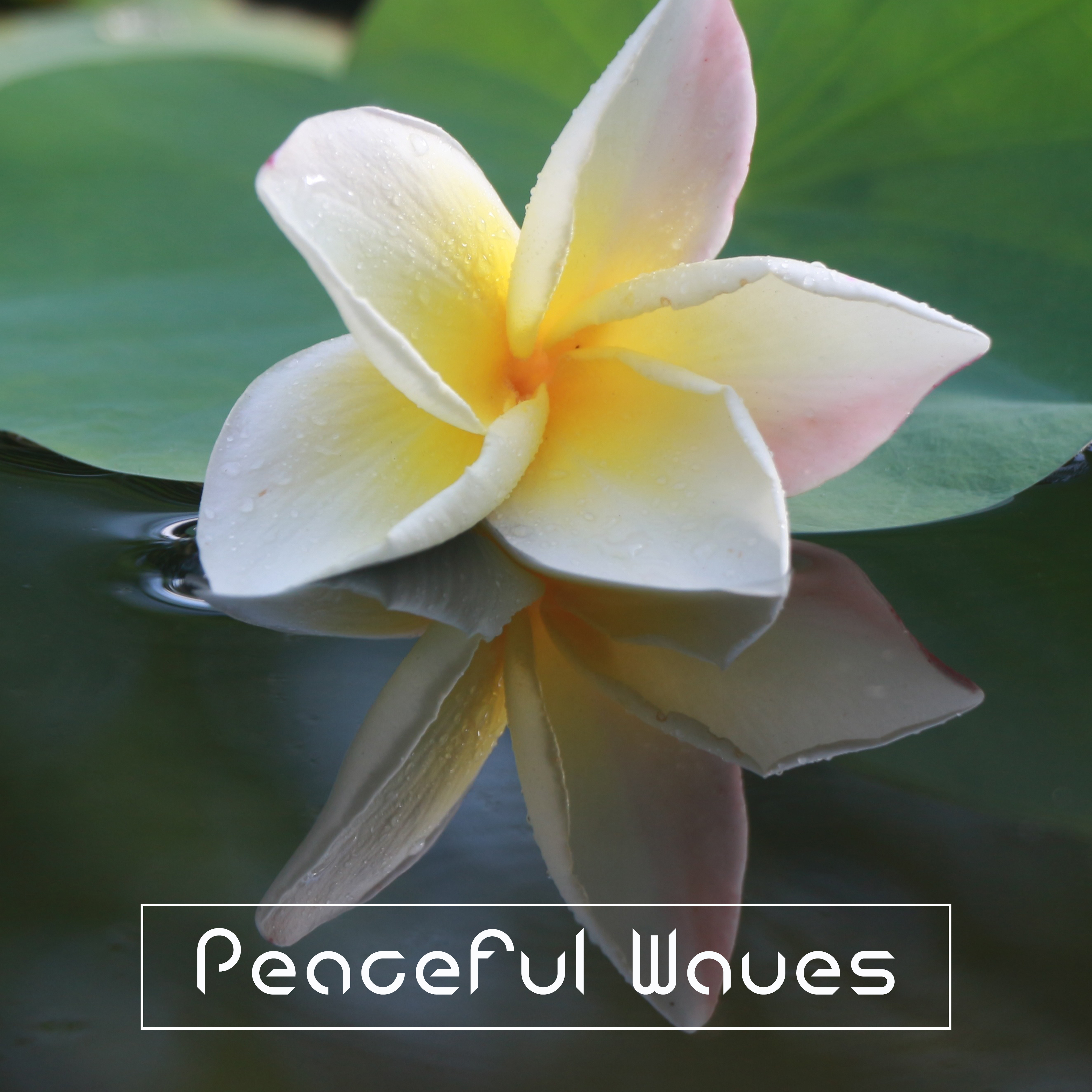 Peaceful Waves  Spa Music, Relaxation Wellness, Stress Free, Nature Sounds for Massage, Pure Spa, Soothing Water, Calm Down