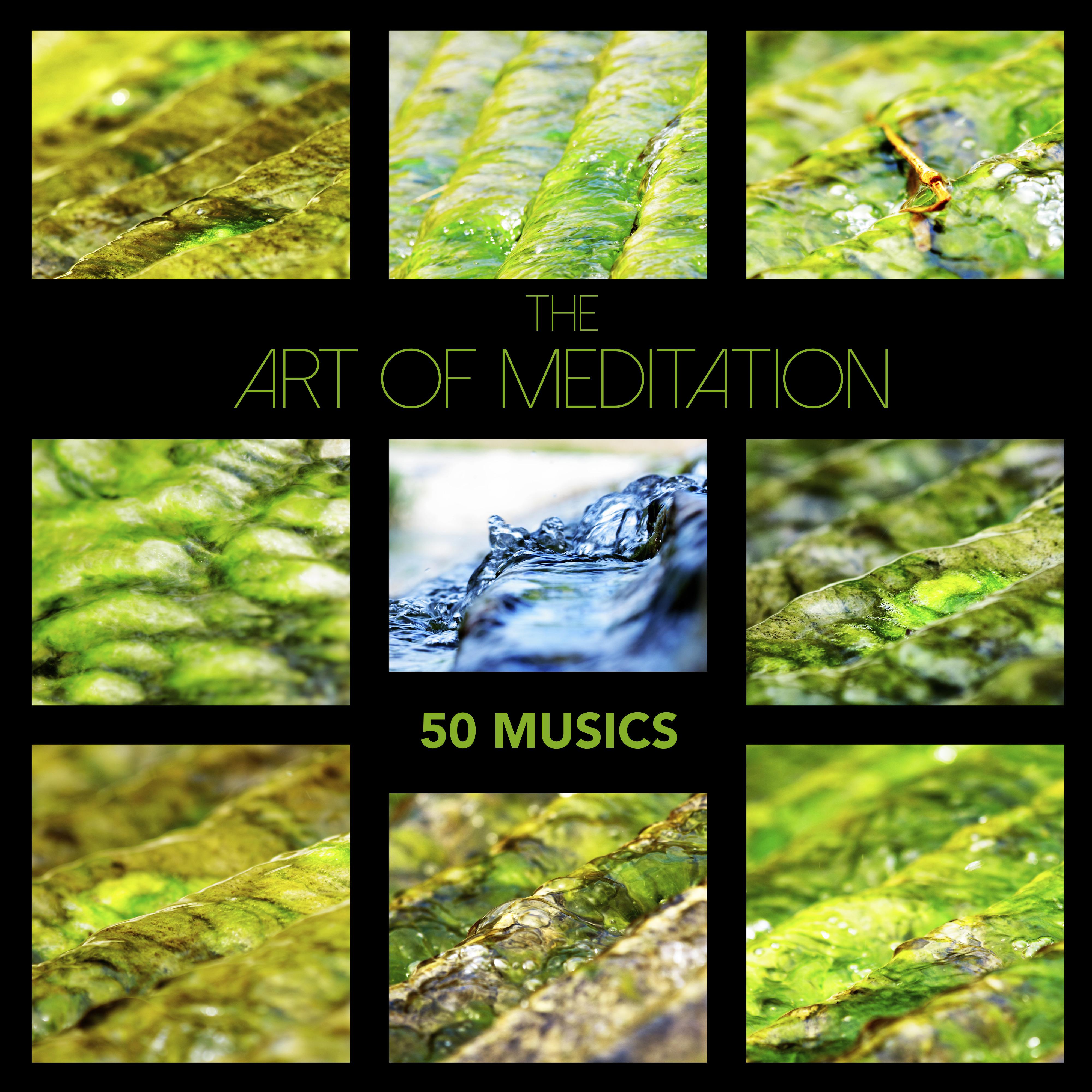 The Art of Meditation: 50 Musics - Zen Garden Meditation Music & Soothing Sleep Sounds for Relaxation, Mindfulness Therapy and Healing Sleep