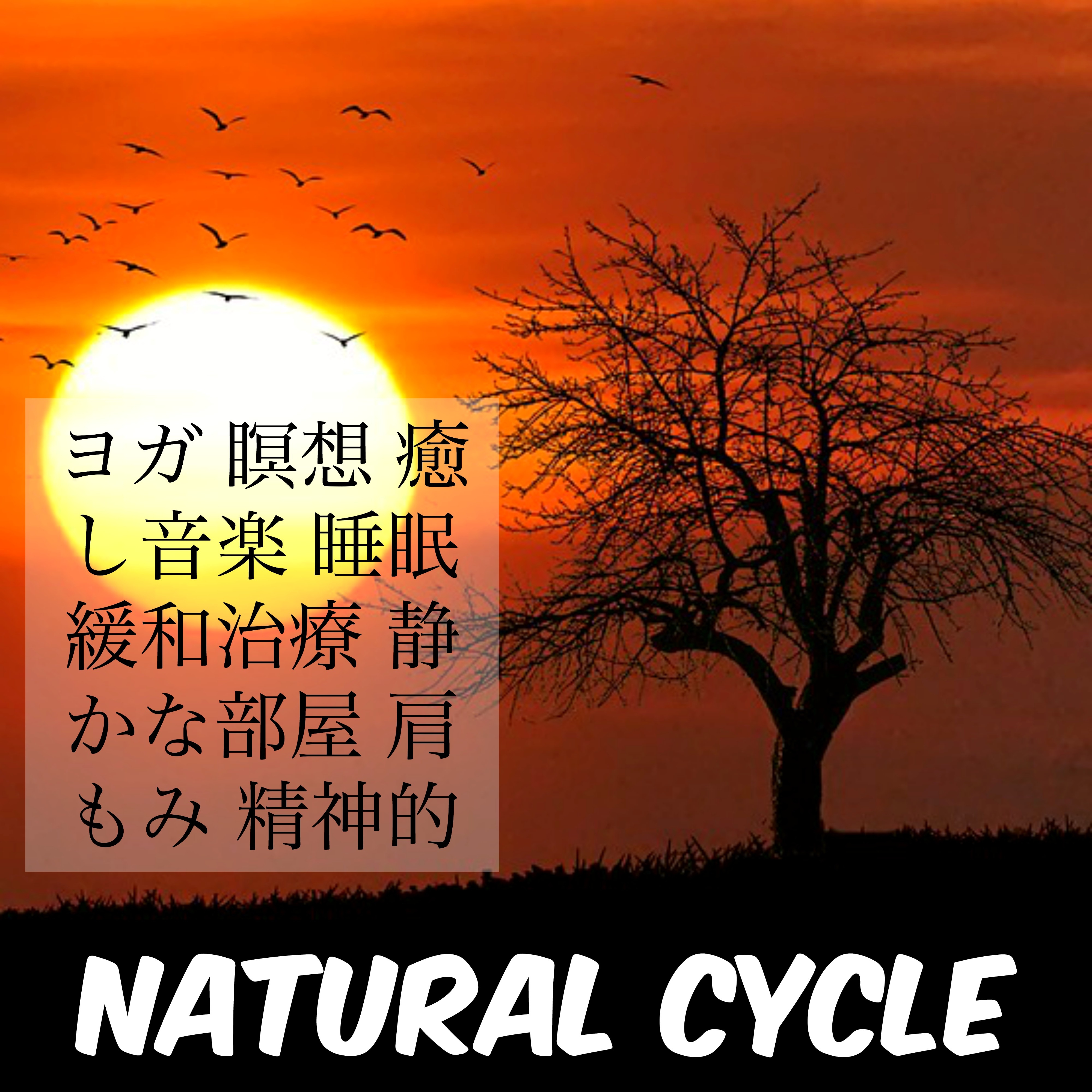 Natural Cycle   ming xiang yu yin le shui mian huan he zhi liao jing bu wu jian jing shen de