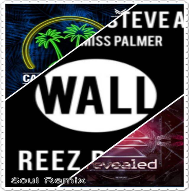 Soul  kai chang  W W   Hardwell   Afrojack    Don' t  Stop  No  Beef  Rave  Soul  Mashup