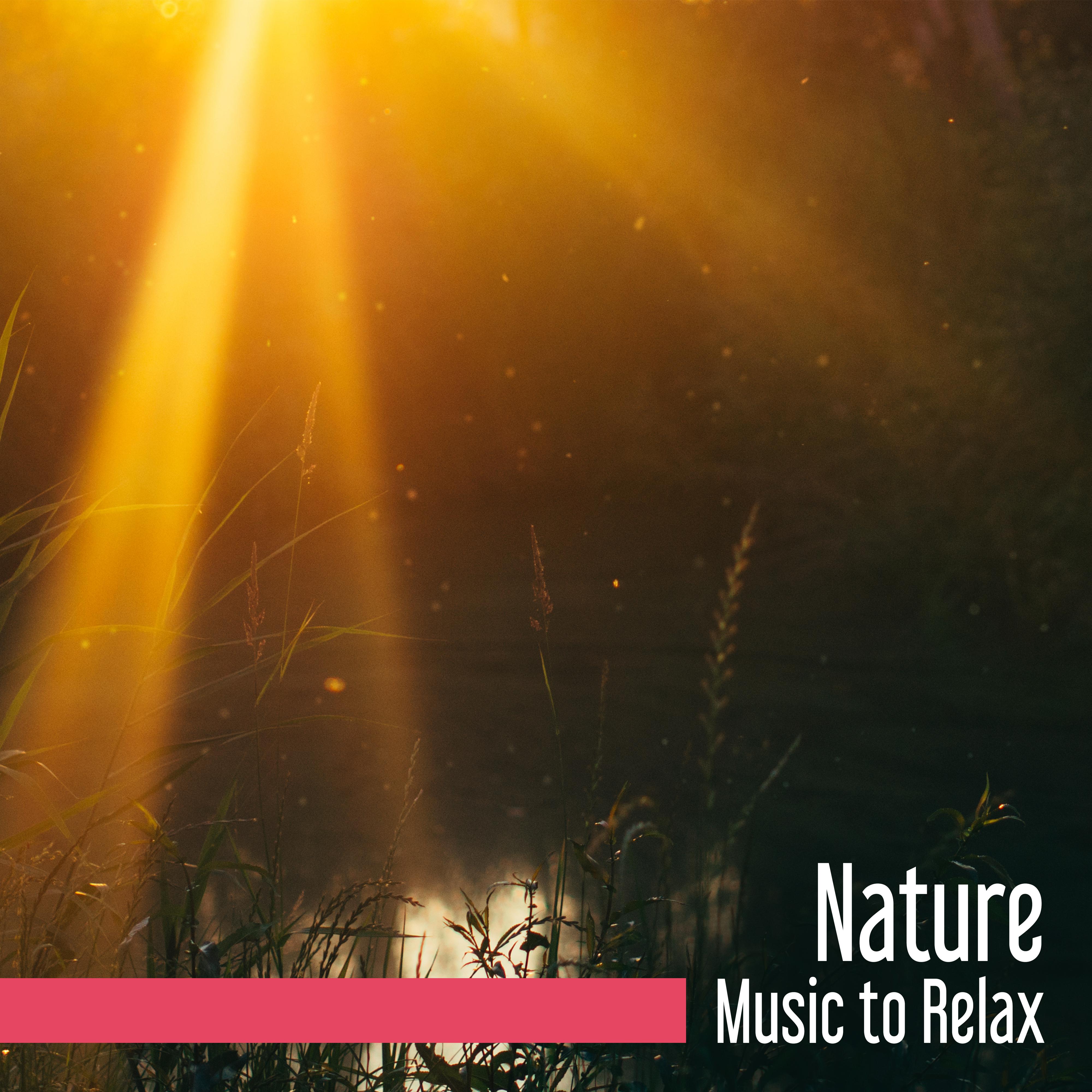 Nature Music to Relax  Easy Listening, Soothing Nature Sounds, Calm Your Mind, Peaceful Songs