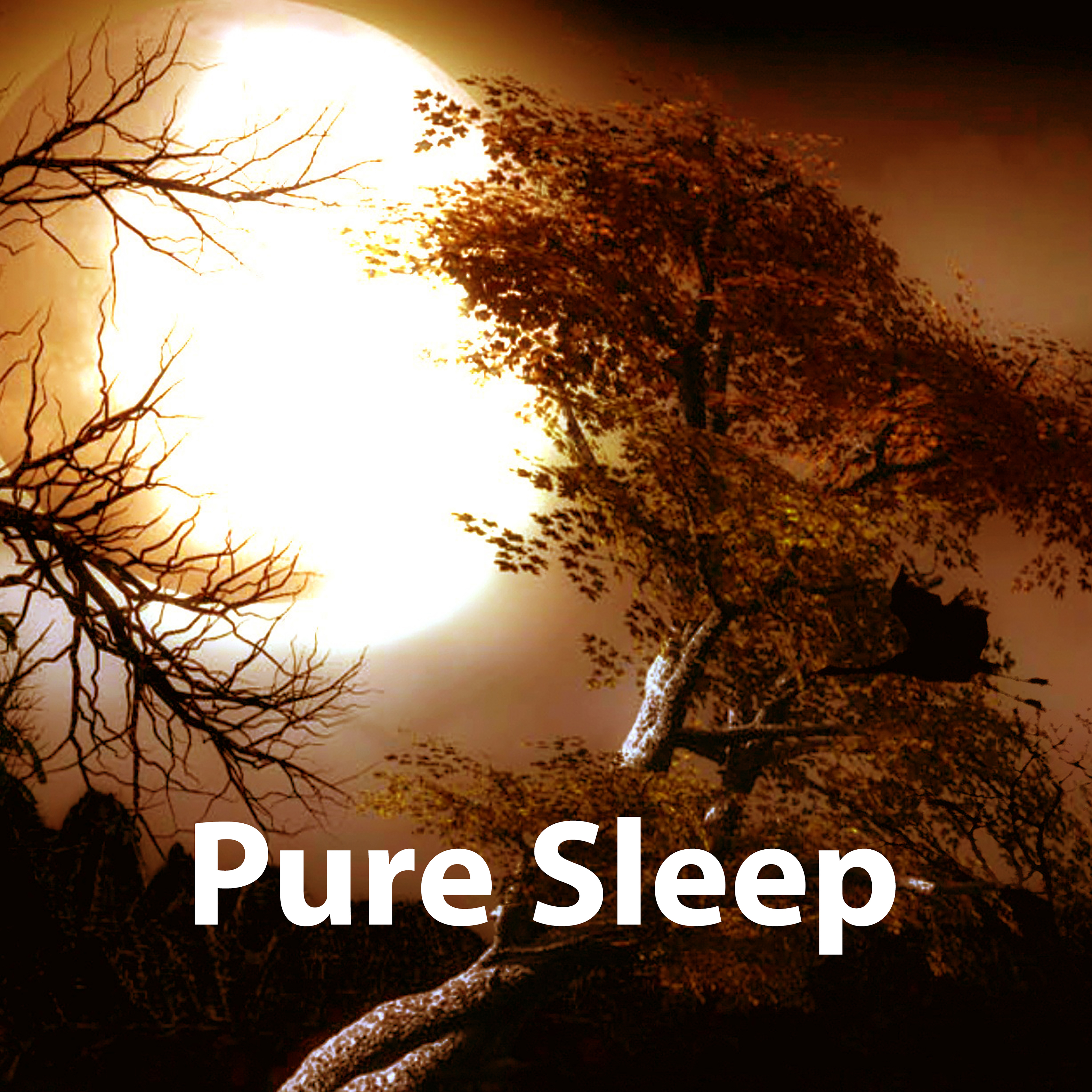 Pure Sleep  Nature Sounds for Relaxation, Healing Water, Deep Nature, Calm Melodies Help Sleep, Sound Therapy, Pure Brain