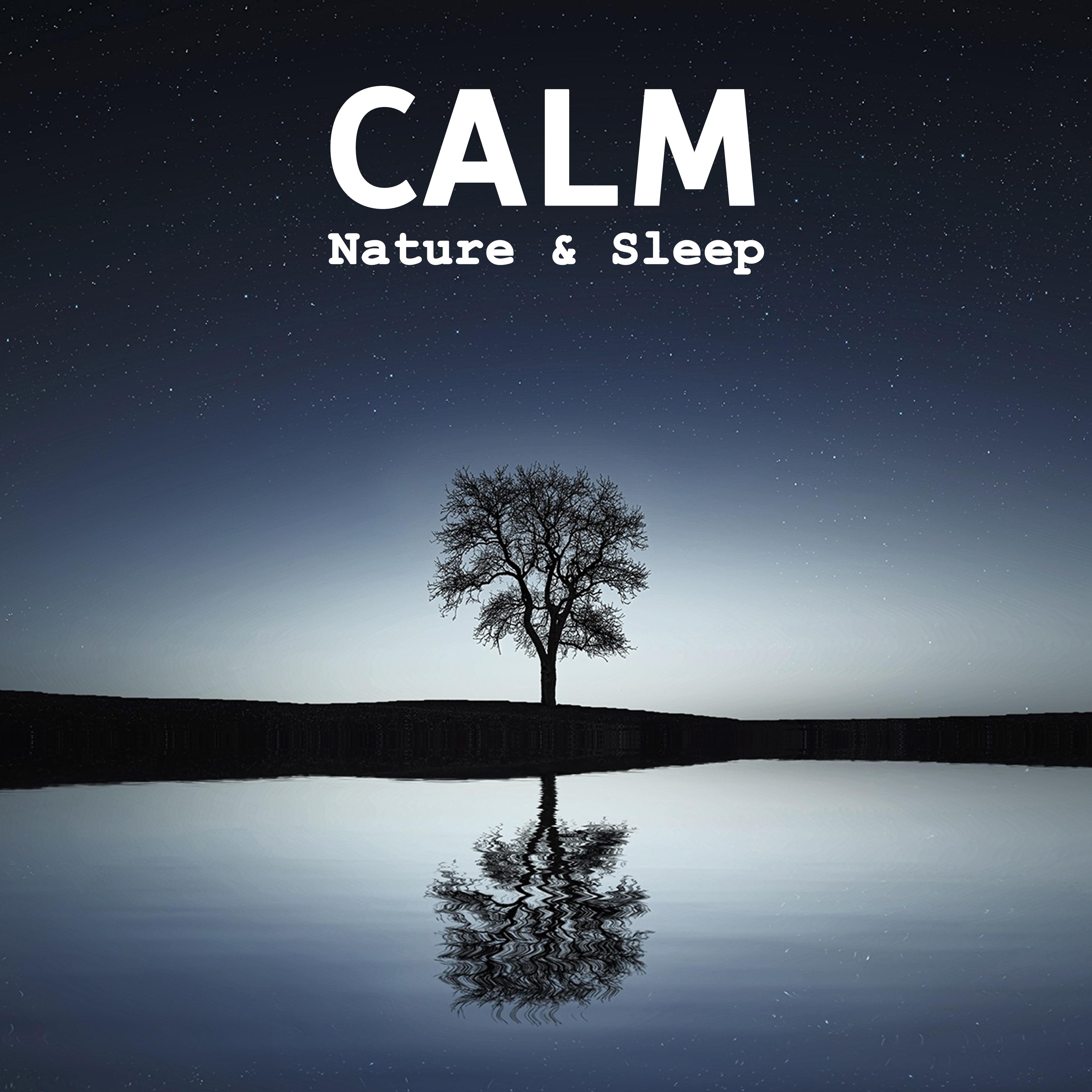 Calm Nature  Sleep  Peaceful Music for Relaxation, Restful Sleep, Deep Dreams, Soothing Sounds to Calm Down, Inner Harmony, Sweet Dreams, Music at Goodnight