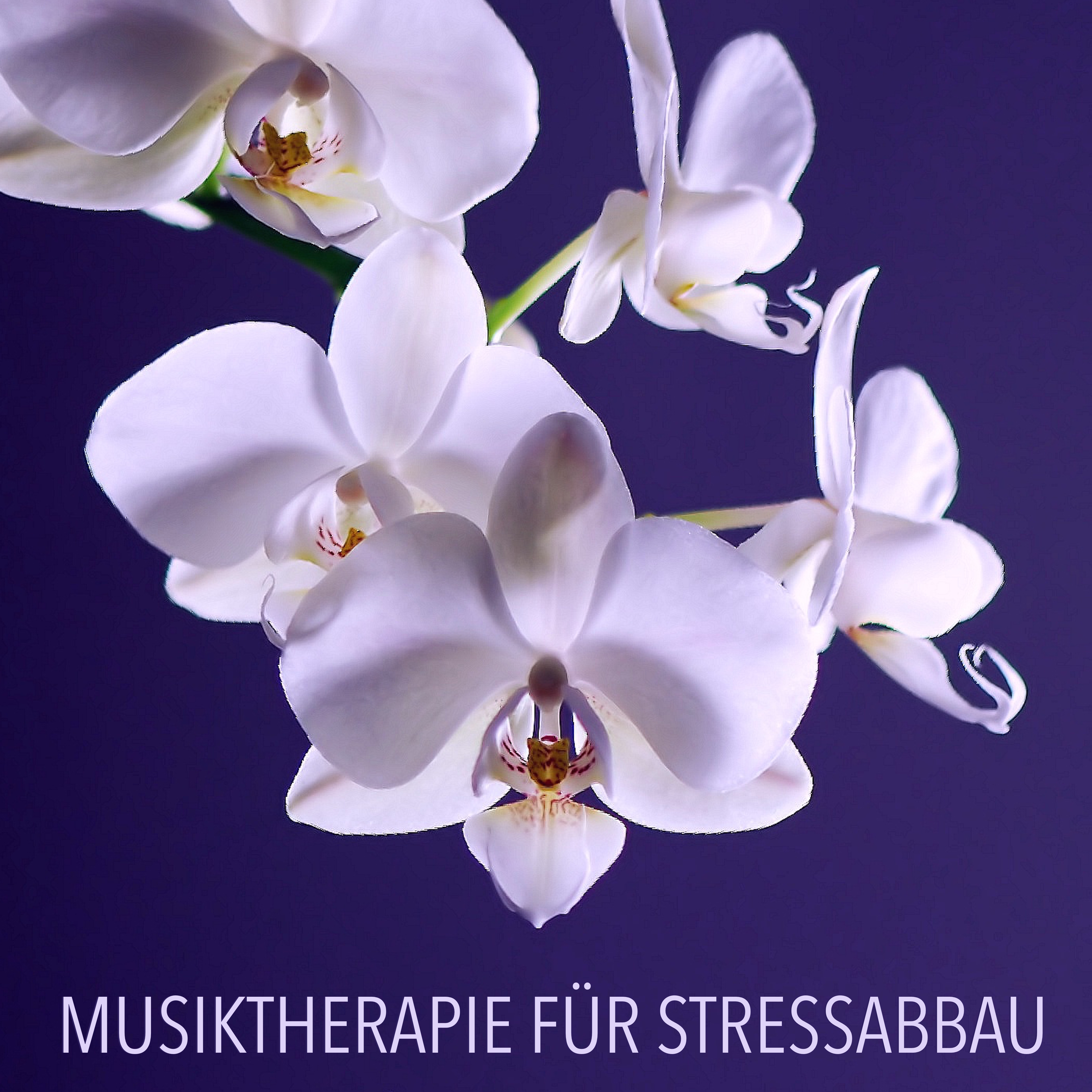 Musiktherapie fü r Stressabbau  Eine Sammlung der Besten Zen Meditationsmusik und Tiefenentspannungsmusik fü r Massage und Gesunden Schlaf