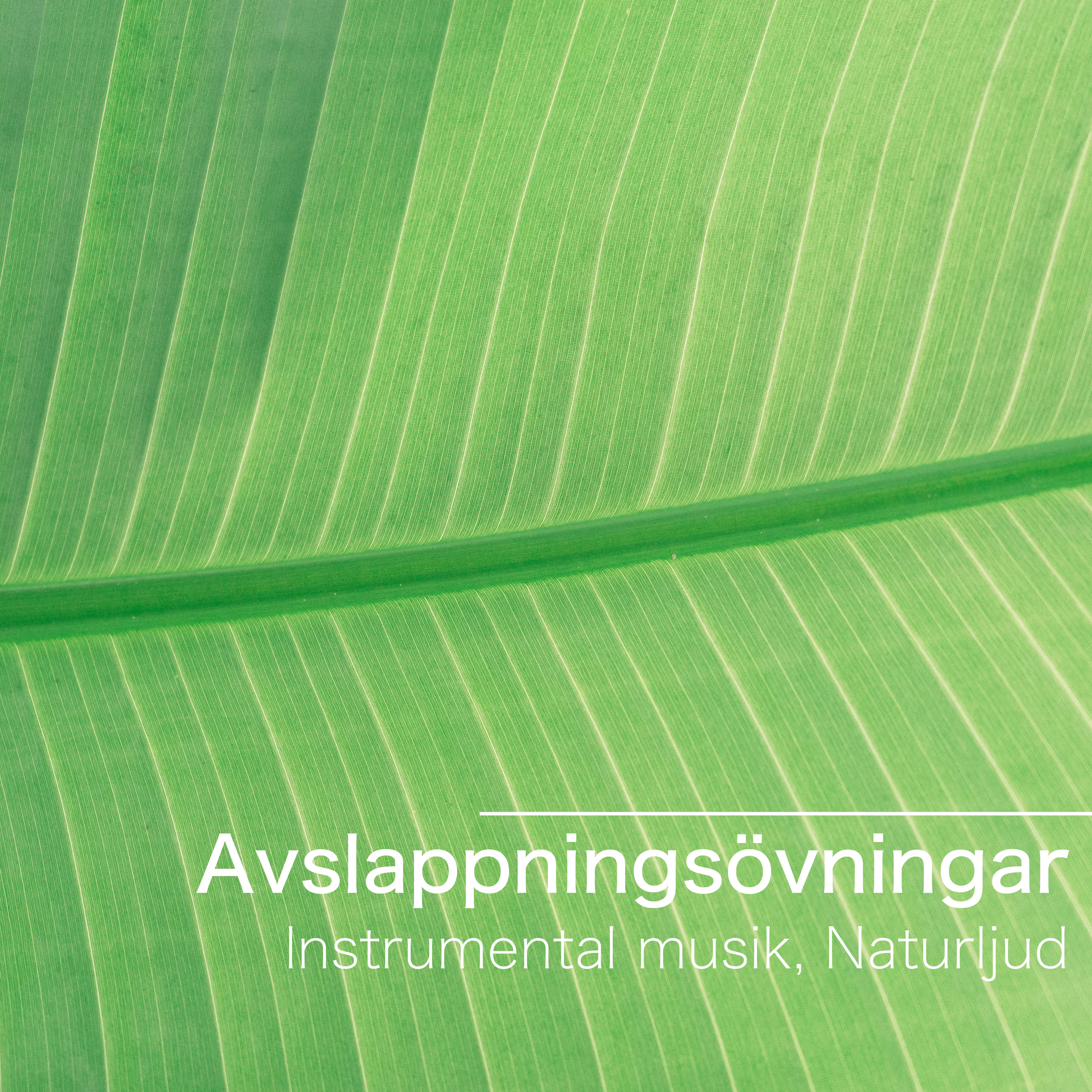 Avslappnings vningar  Instrumental musik, Naturljud