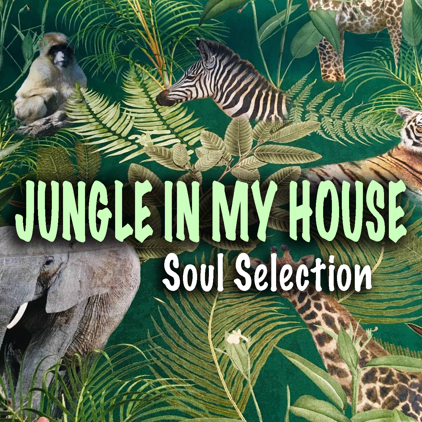 Jungle In My House Soul Selection