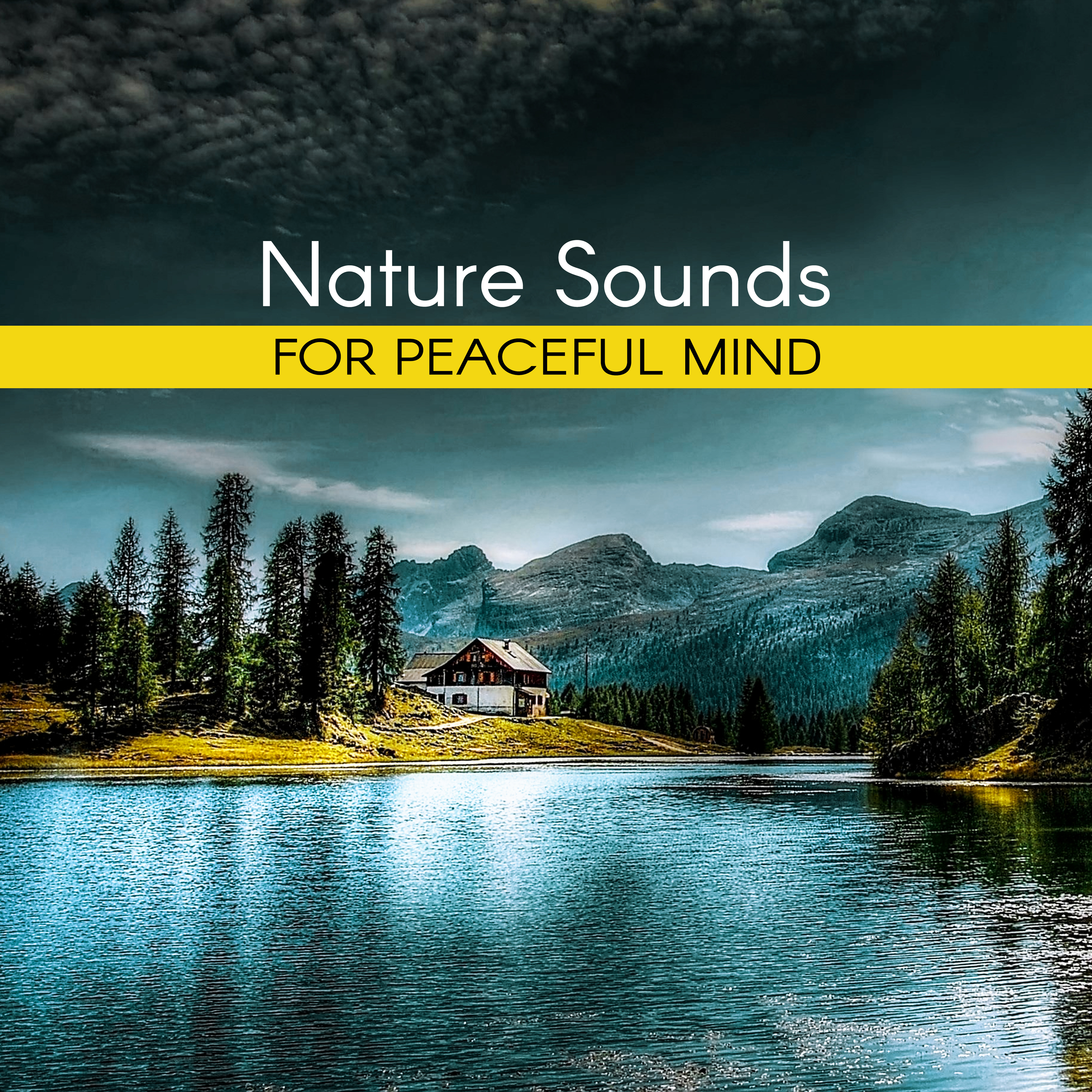 Nature Sounds for Peaceful Mind  Inner Calmness, Harmony Waves, Water Sounds to Relax, New Age Music