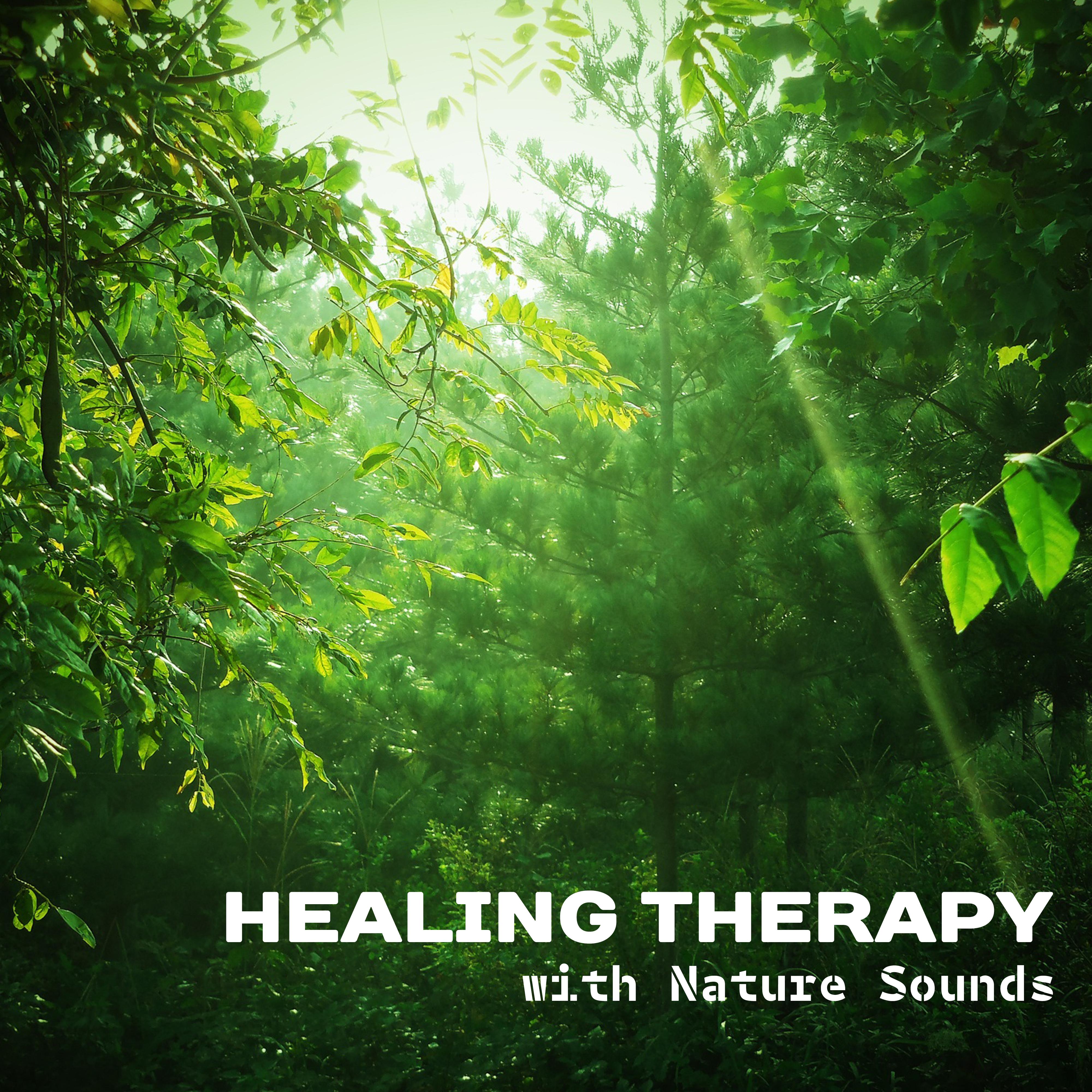 Healing Therapy with Nature Sounds  Calming Piano Waves, Mind Relaxation, Stress Relief, Inner Journey