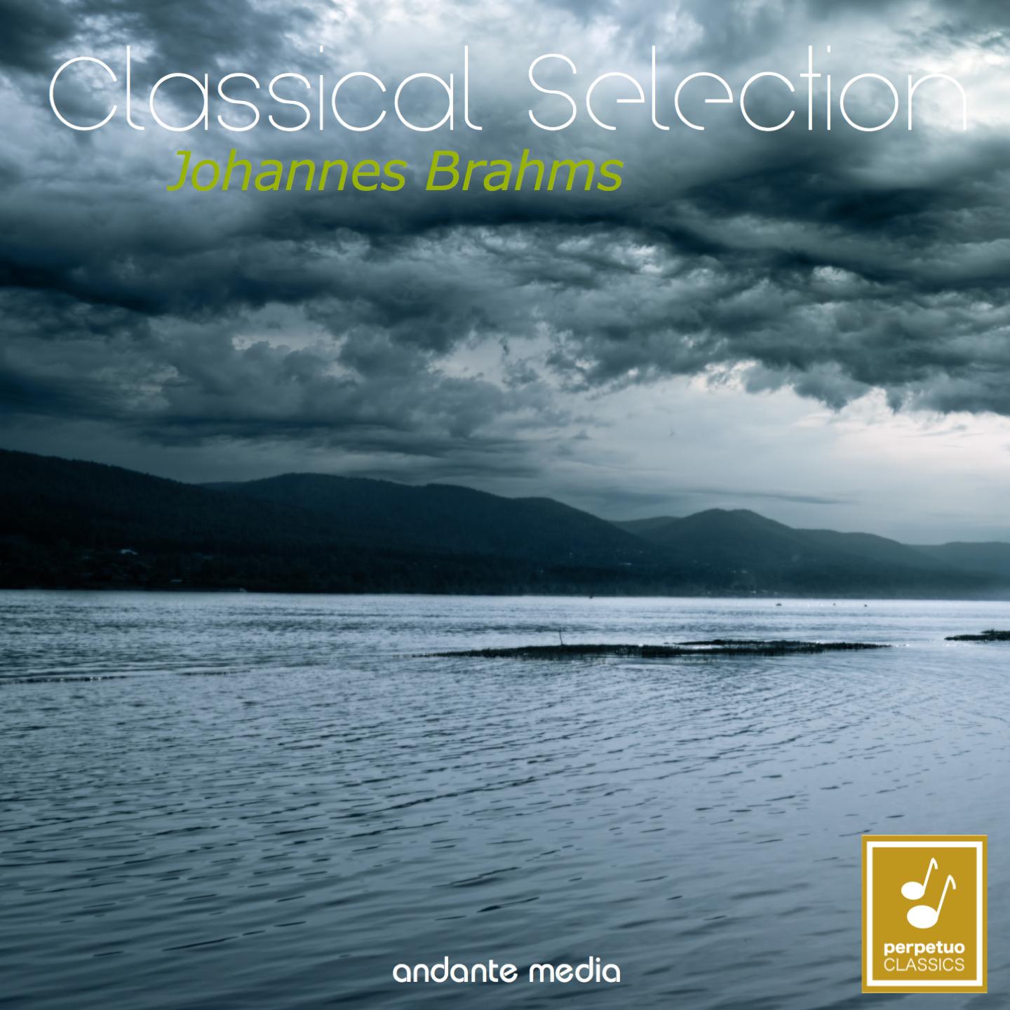 Classical Selection - Brahms: Symphony No. 1 & Sonata No. 1
