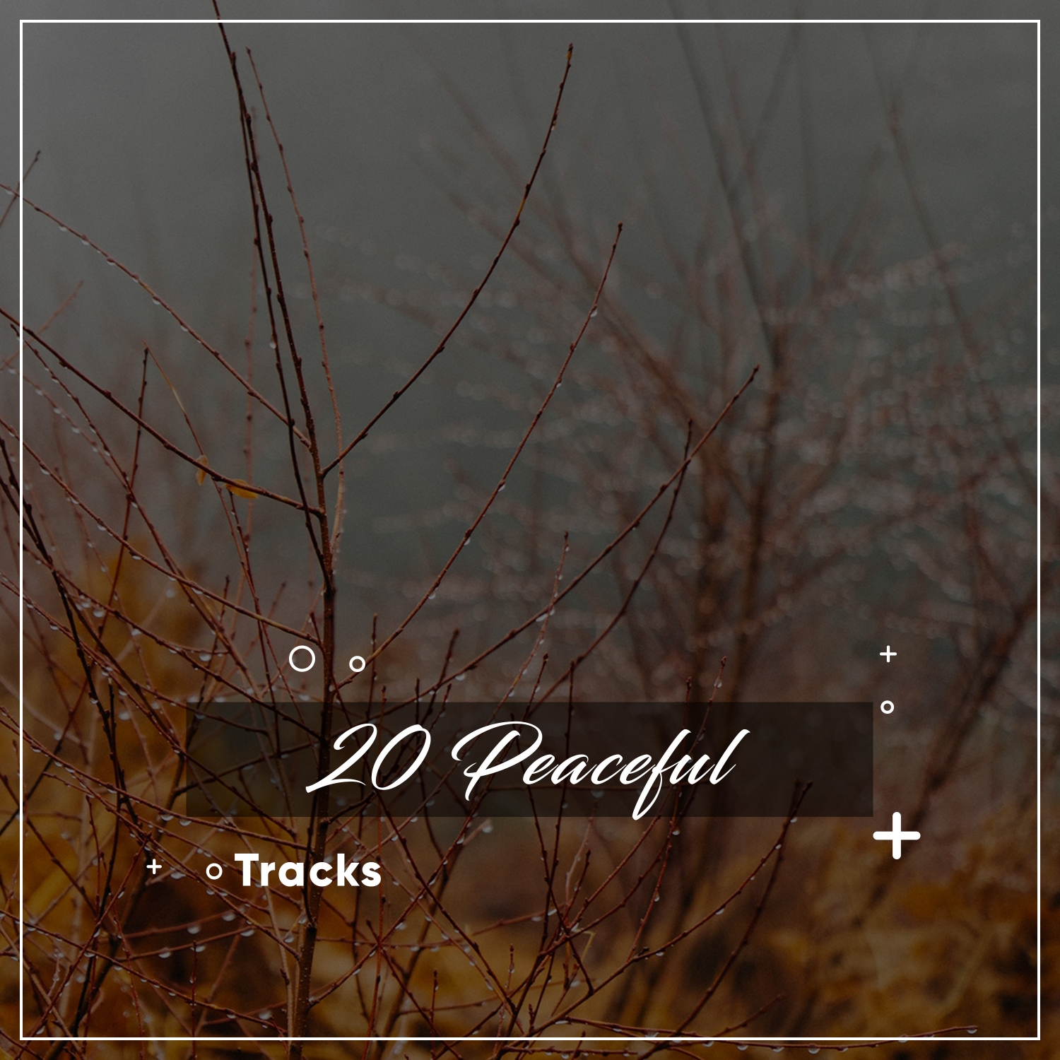20 Peaceful Tracks