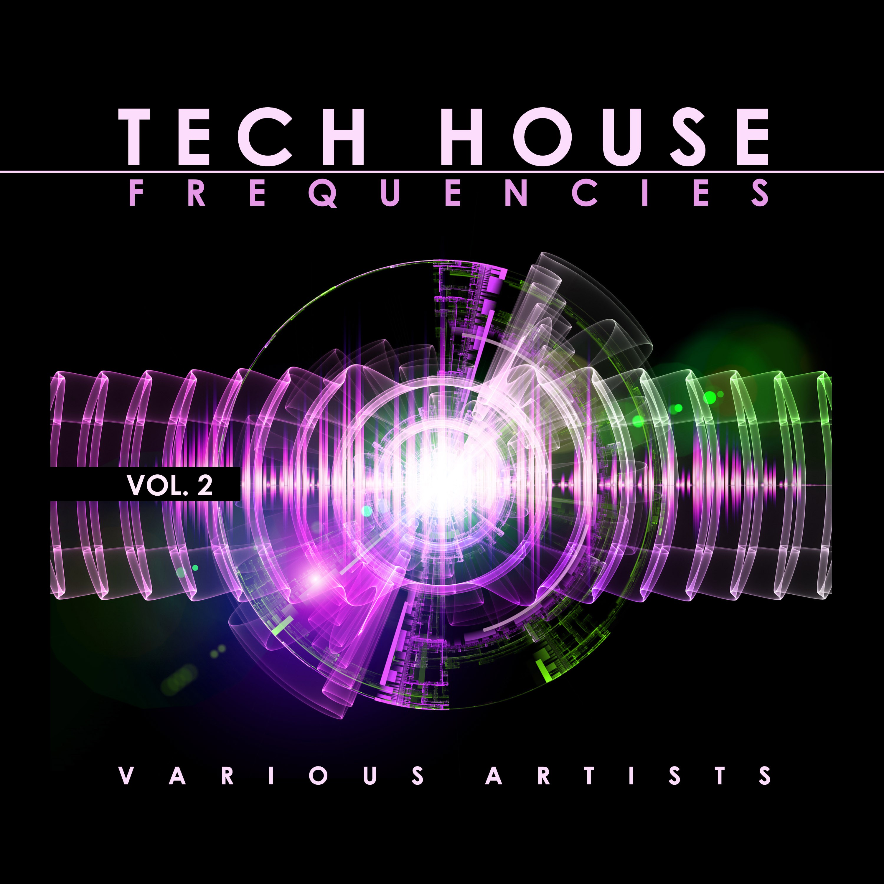 Tech House Frequencies, Vol. 2