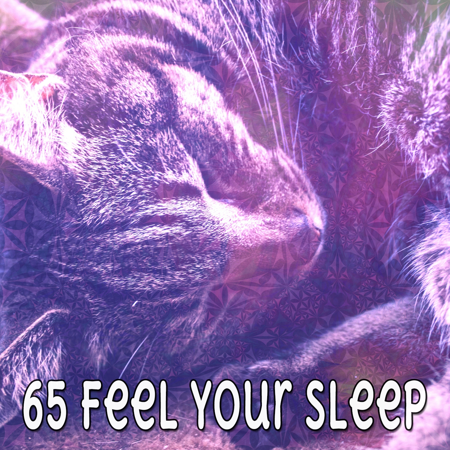 65 Feel Your Sleep