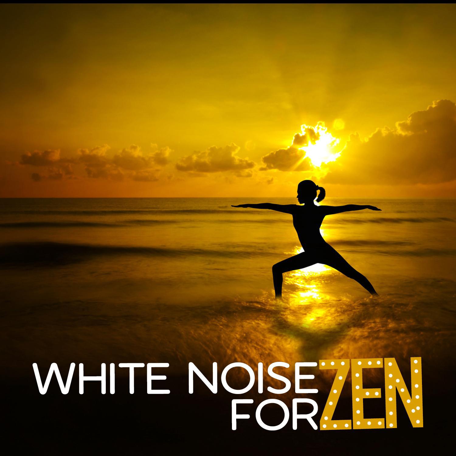 White Noise for Zen