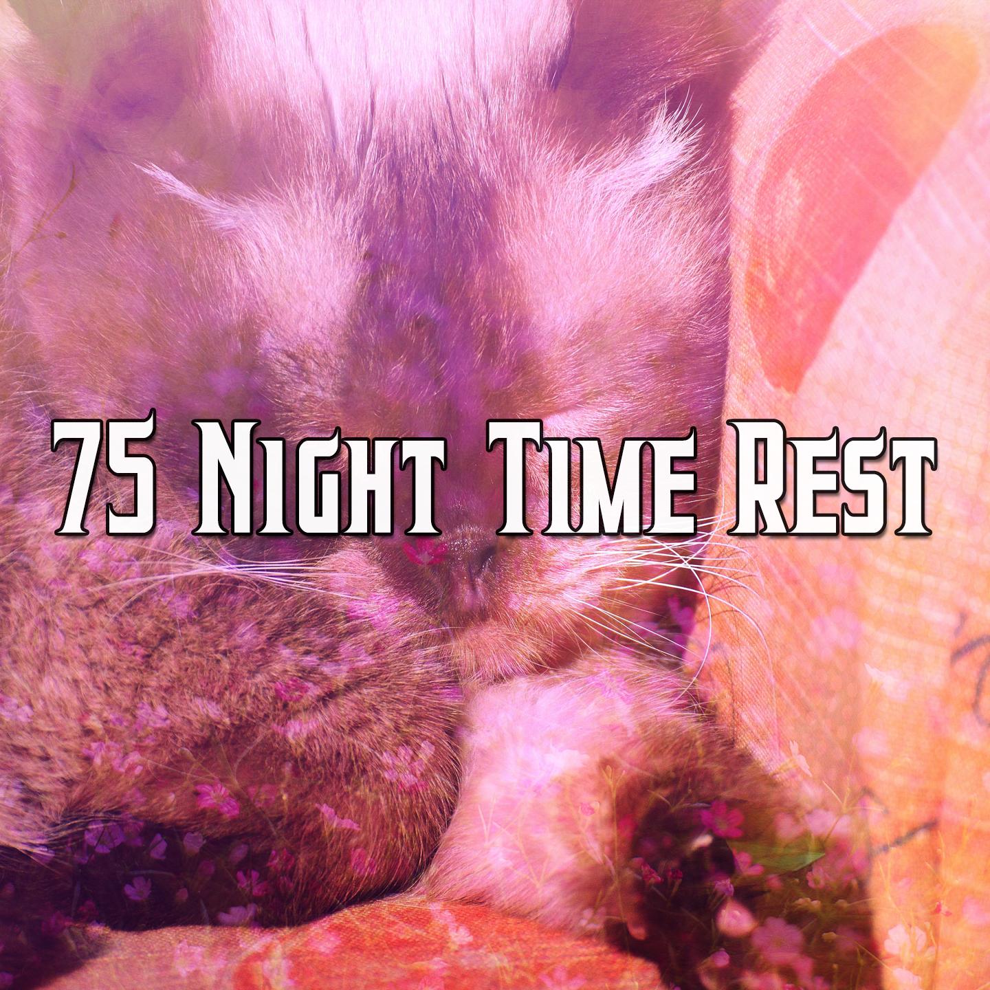 75 Night Time Rest