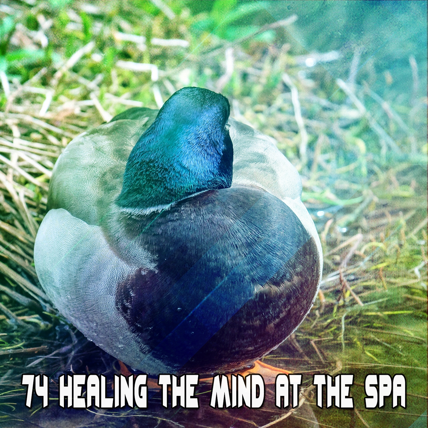 74 Healing The Mind At The Spa