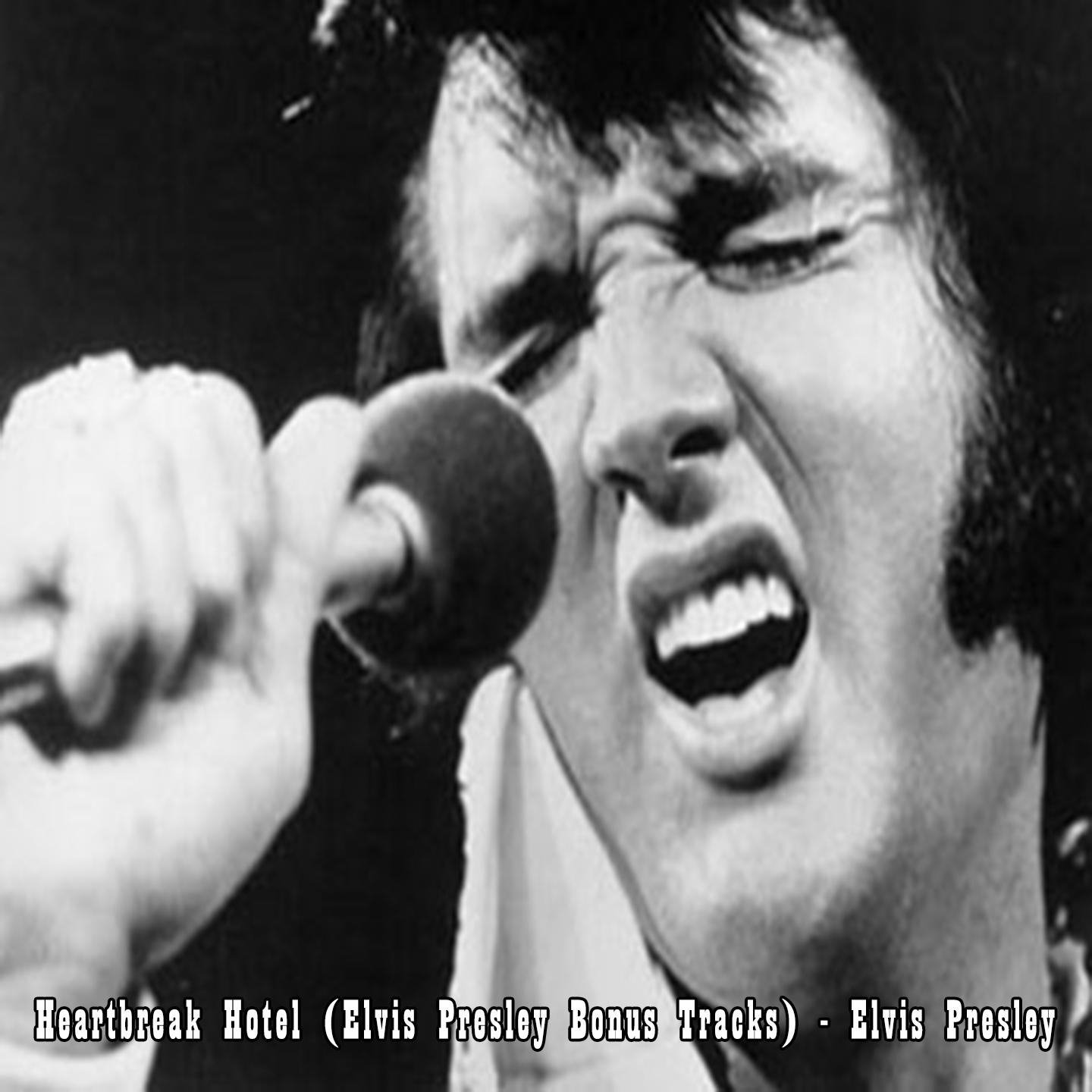 Heartbreak Hotel (Elvis Presley Bonus Tracks) - Elvis Presley