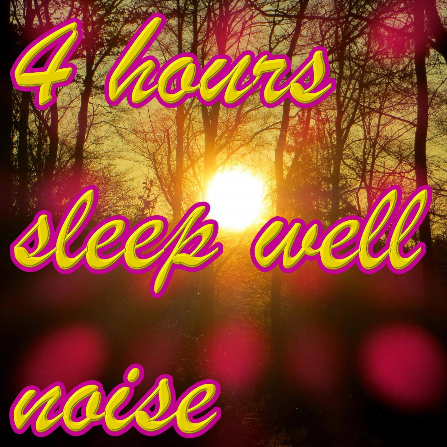 SLEEP WELL SOUNDS 4