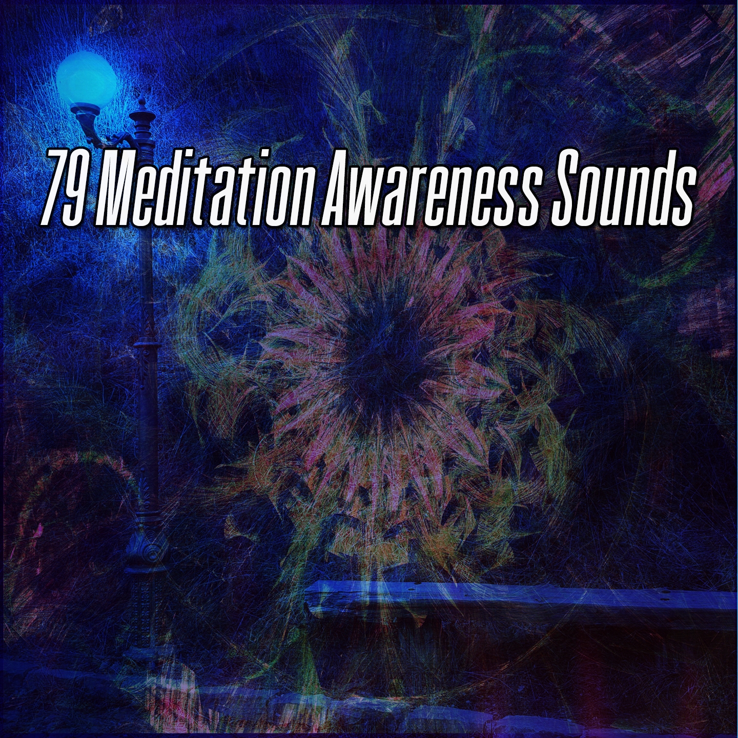 79 Meditation Awareness Sounds