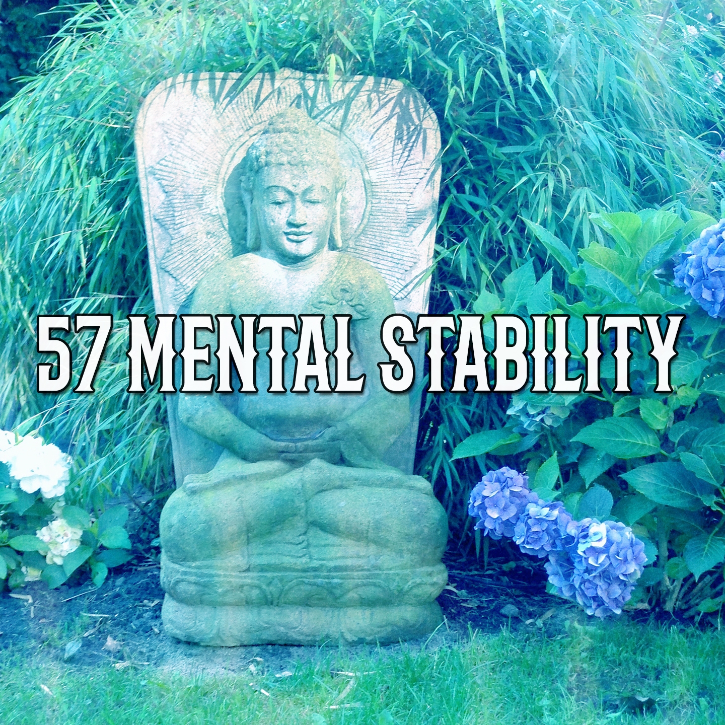 57 Mental Stability