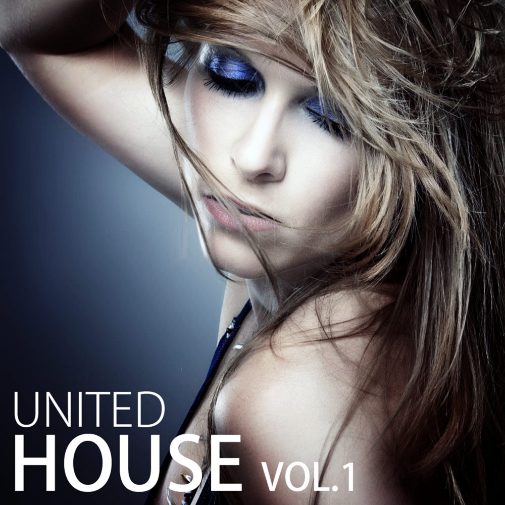 United House, Vol. 1