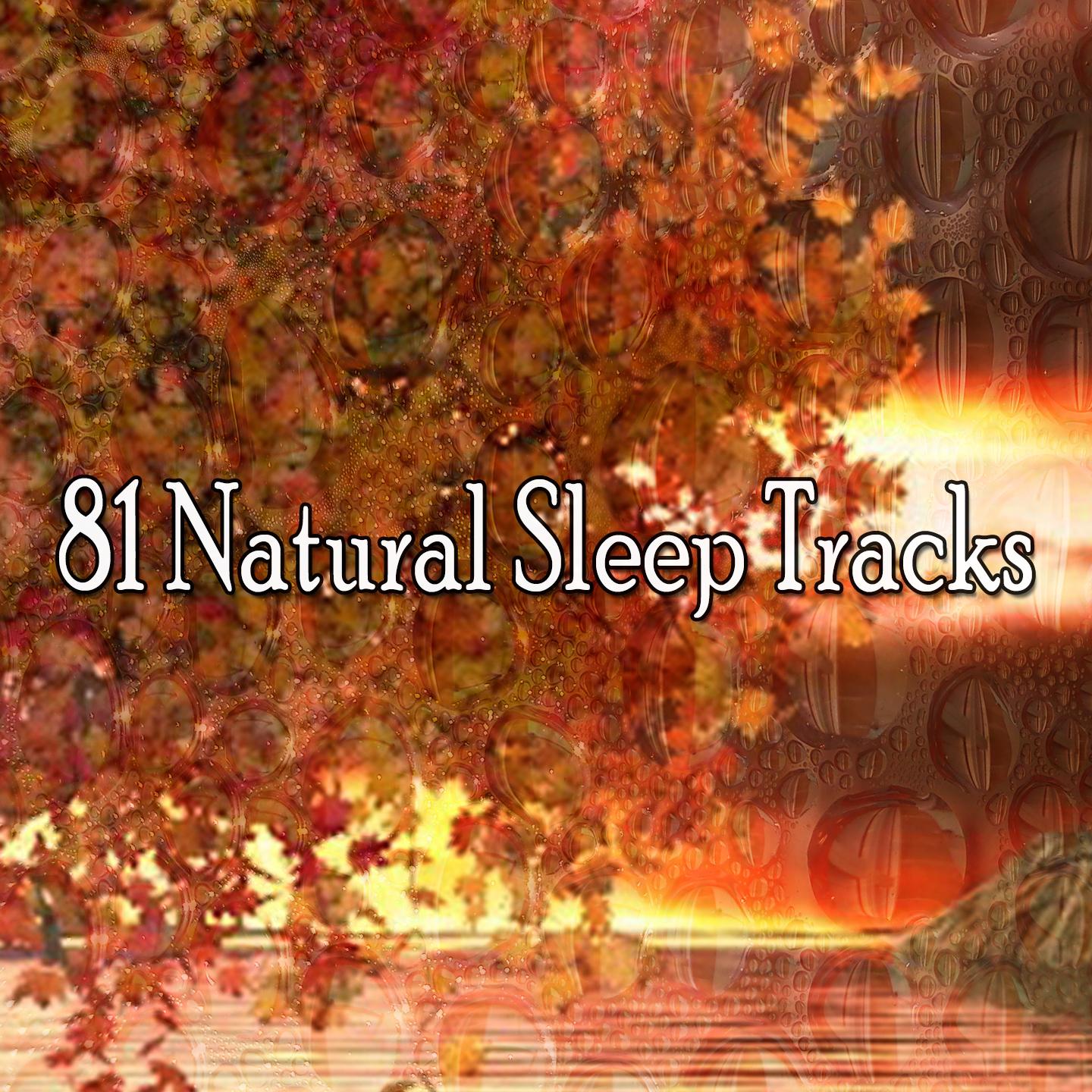 81 Natural Sleep Tracks