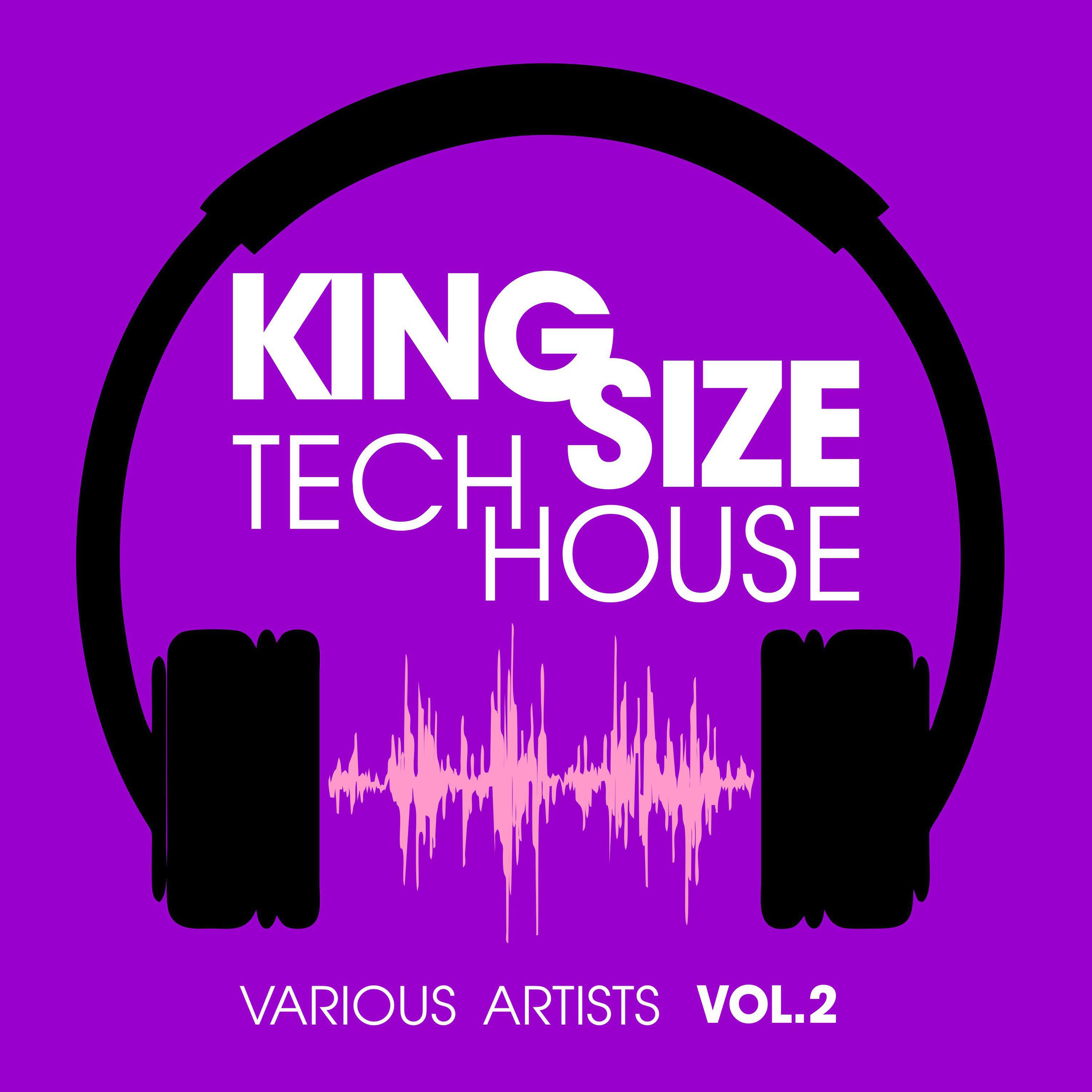 King Size Tech House, Vol. 2