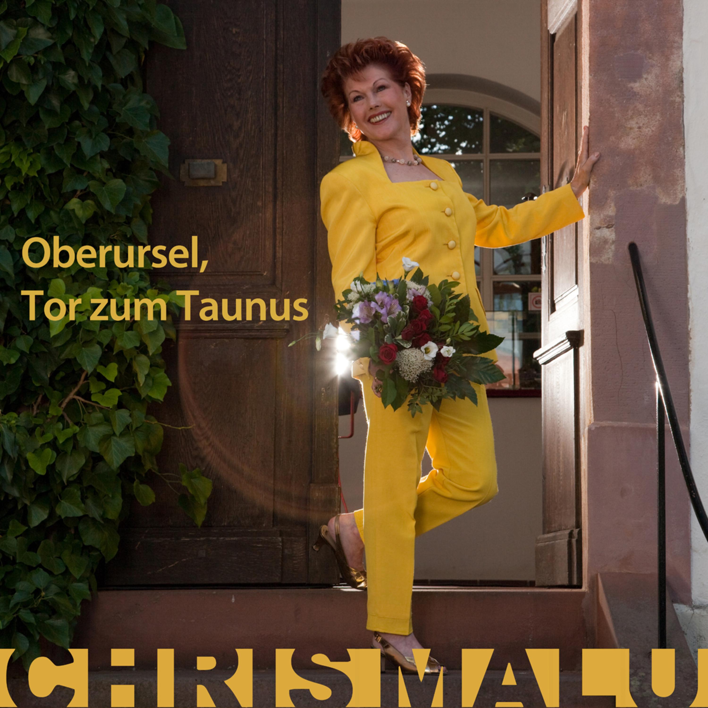 Oberursel, Tor zum Taunus (Karaoke-Mix)