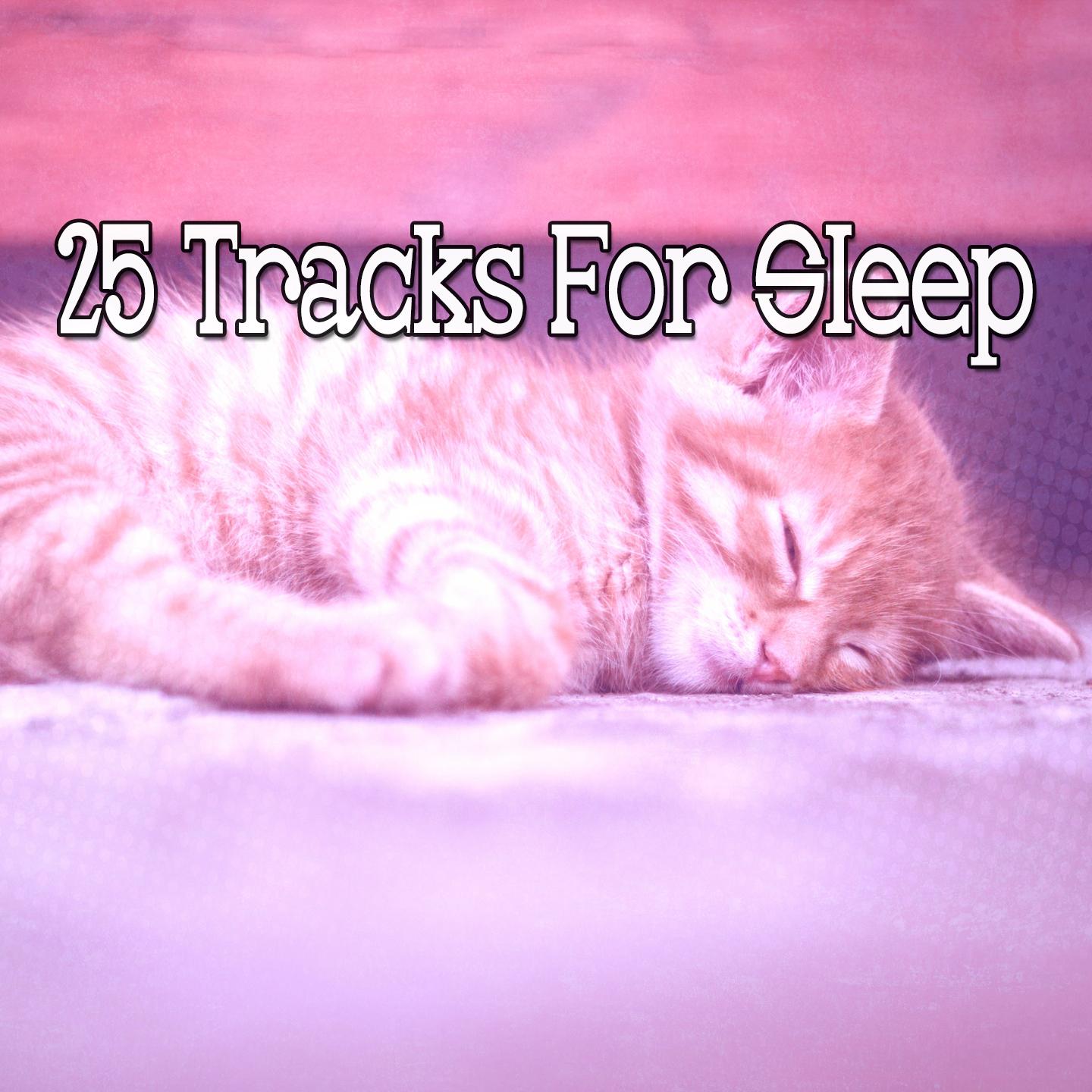 25 Tracks For Sleep
