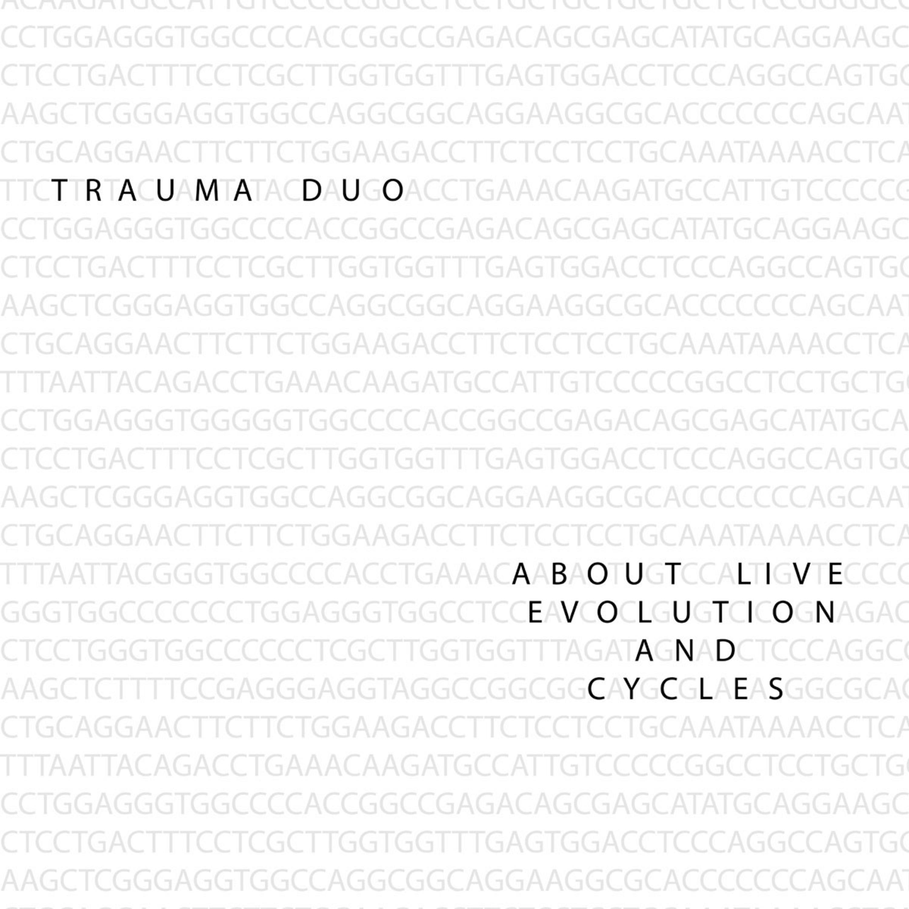 Daily Routine Of A Termite