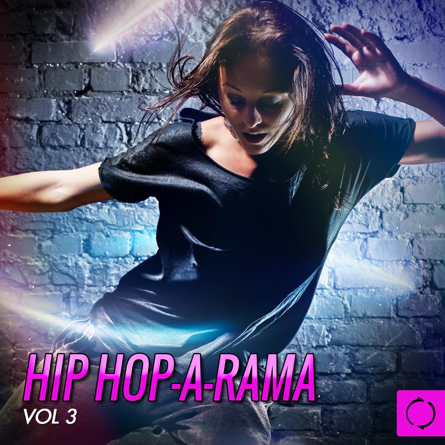 Hiphop-a-Rama, Vol. 3