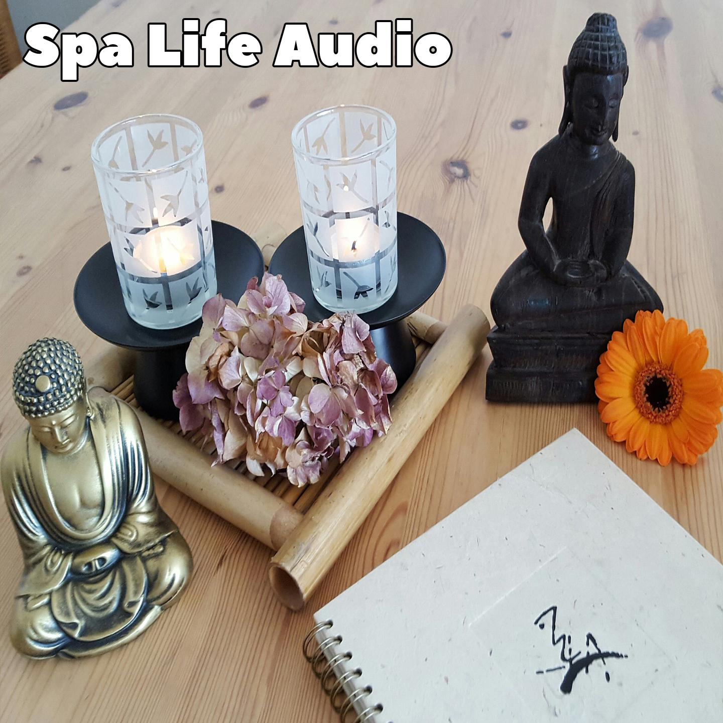 Spa Life Audio
