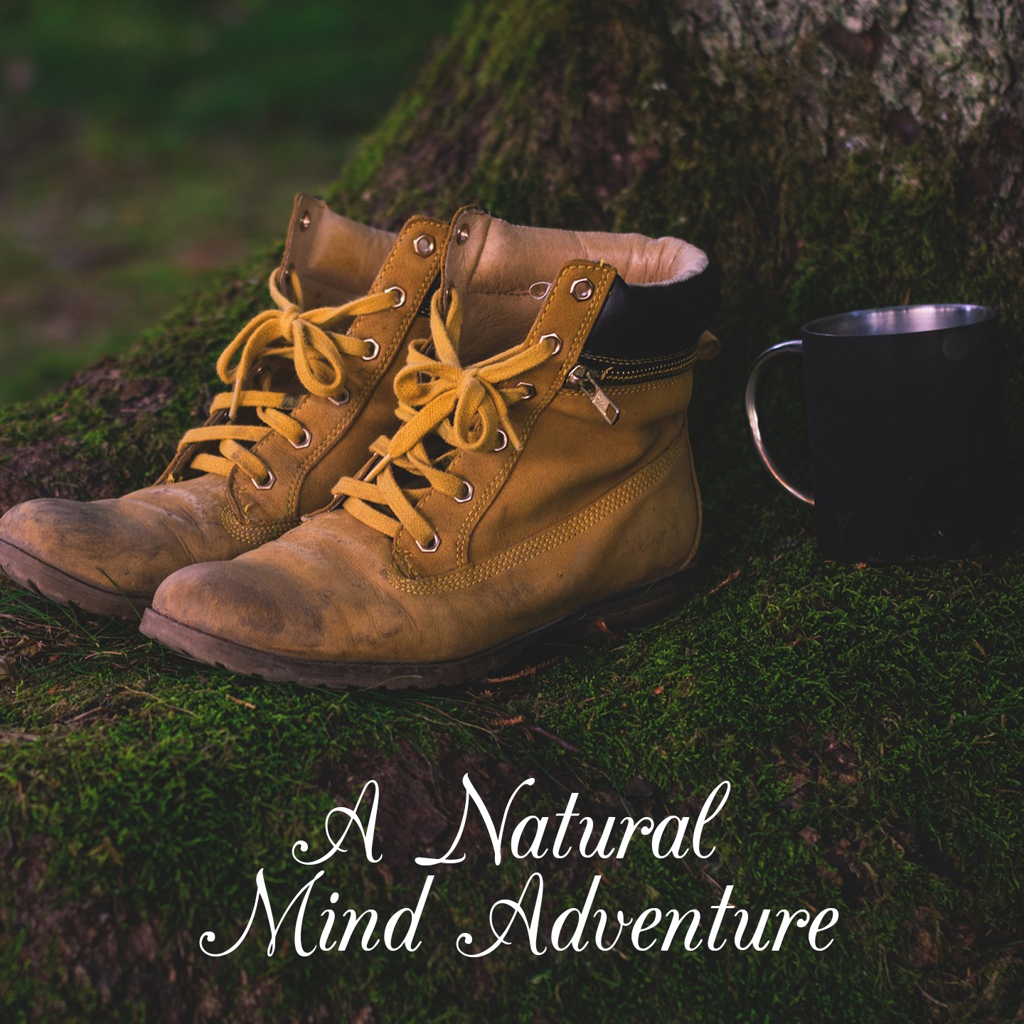 A Natural Mind Adventure