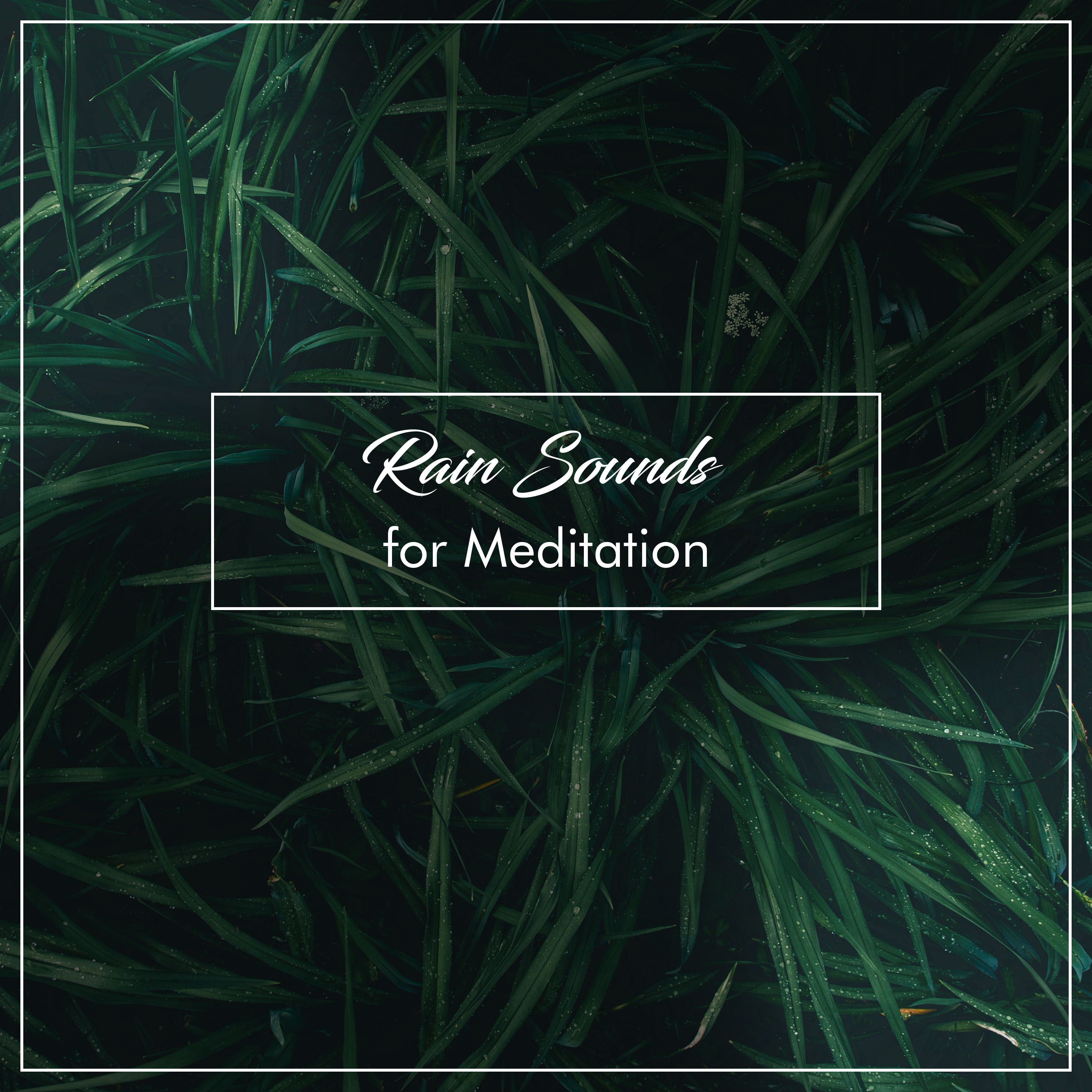 #16 Meditation Rain Album for Practicing Yoga