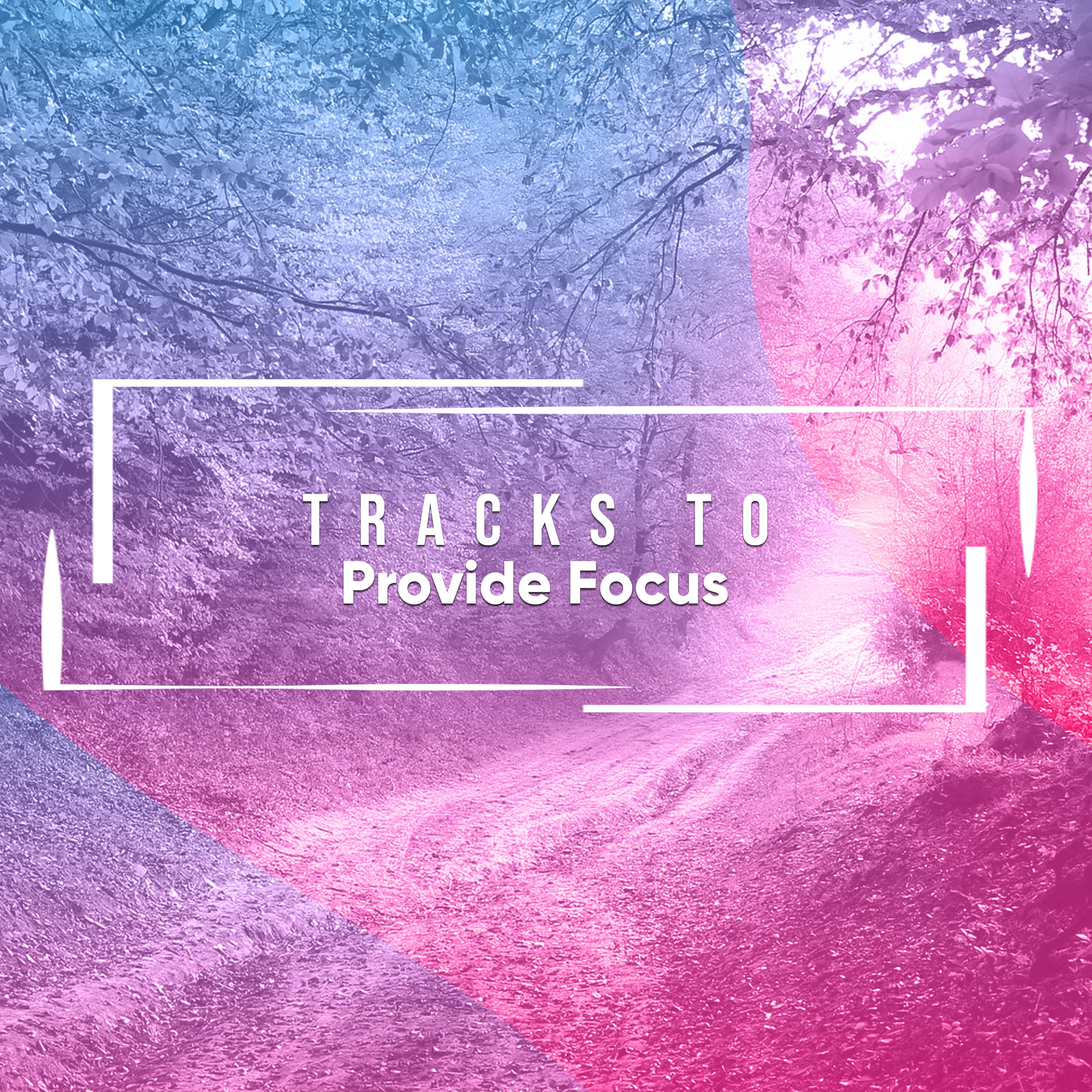 13 Therapeutic Tracks to Provide Focus