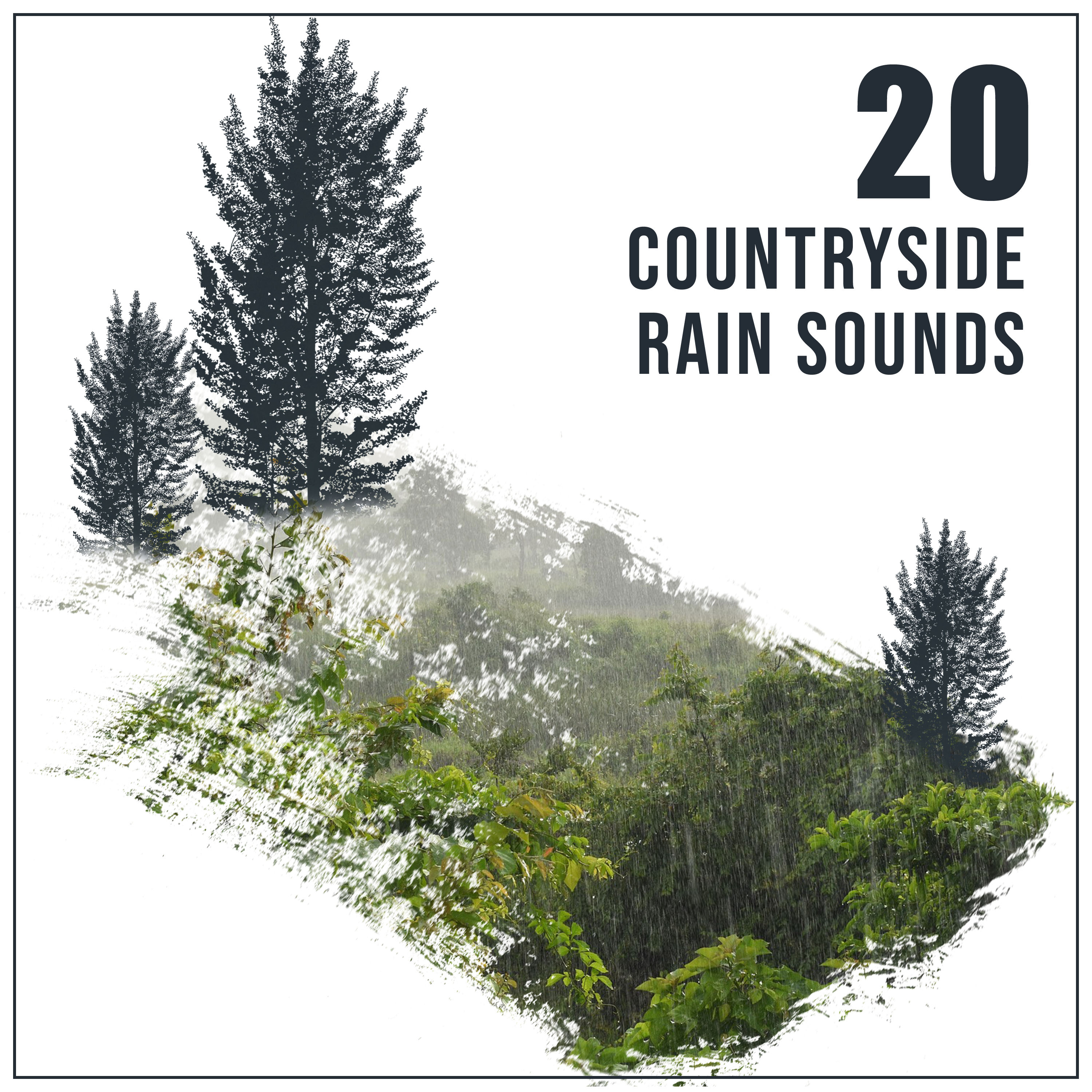 20 Countryside Rain Sounds for Practicing Yoga