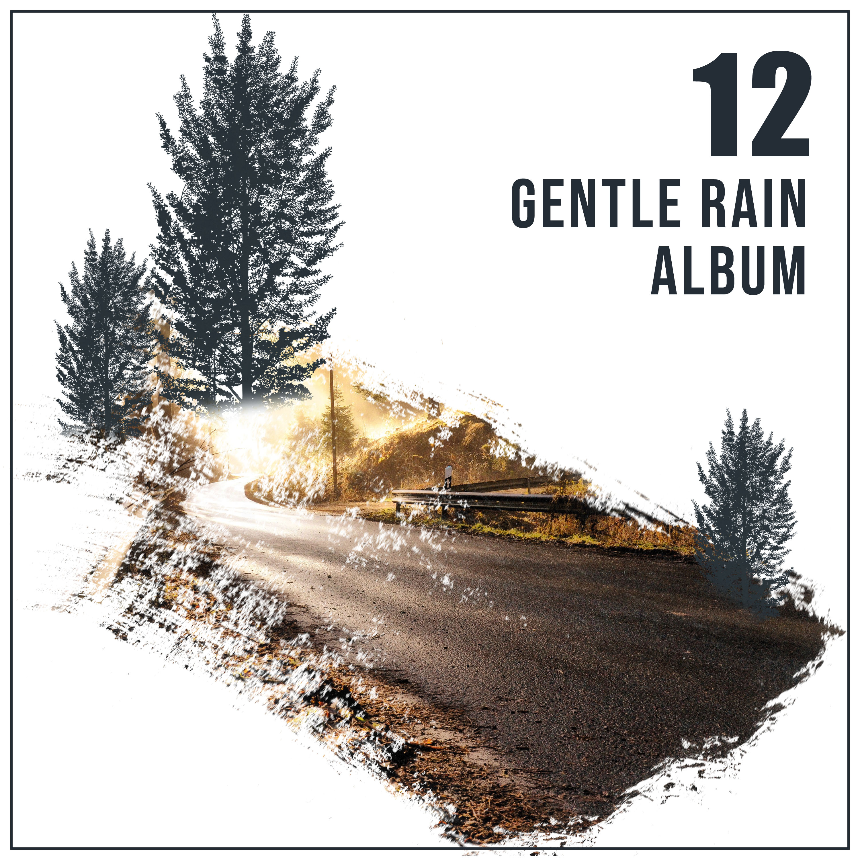 12 Gentle Rain Album for Spa Relaxation