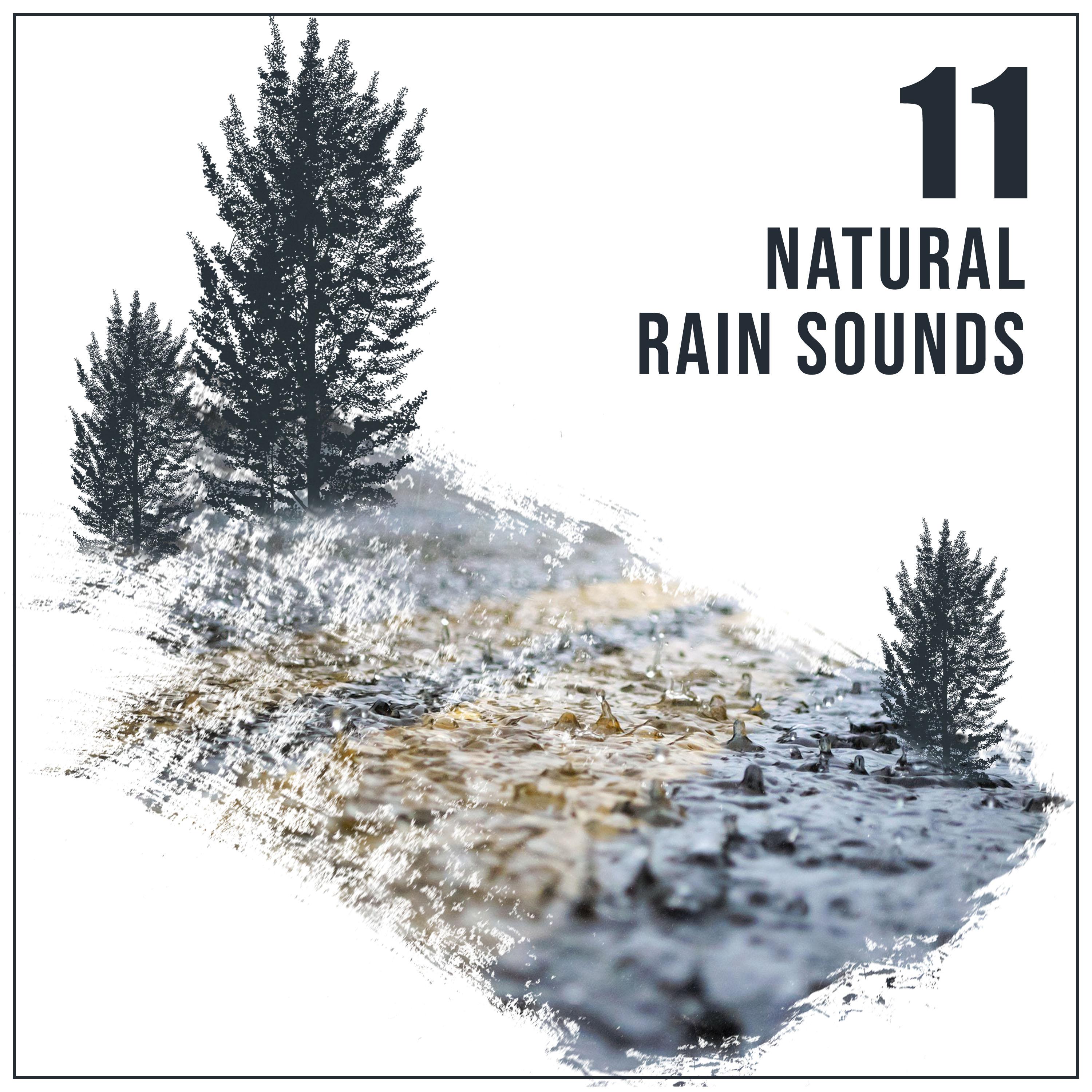 11 Natural Rain Sounds for Calm Inside