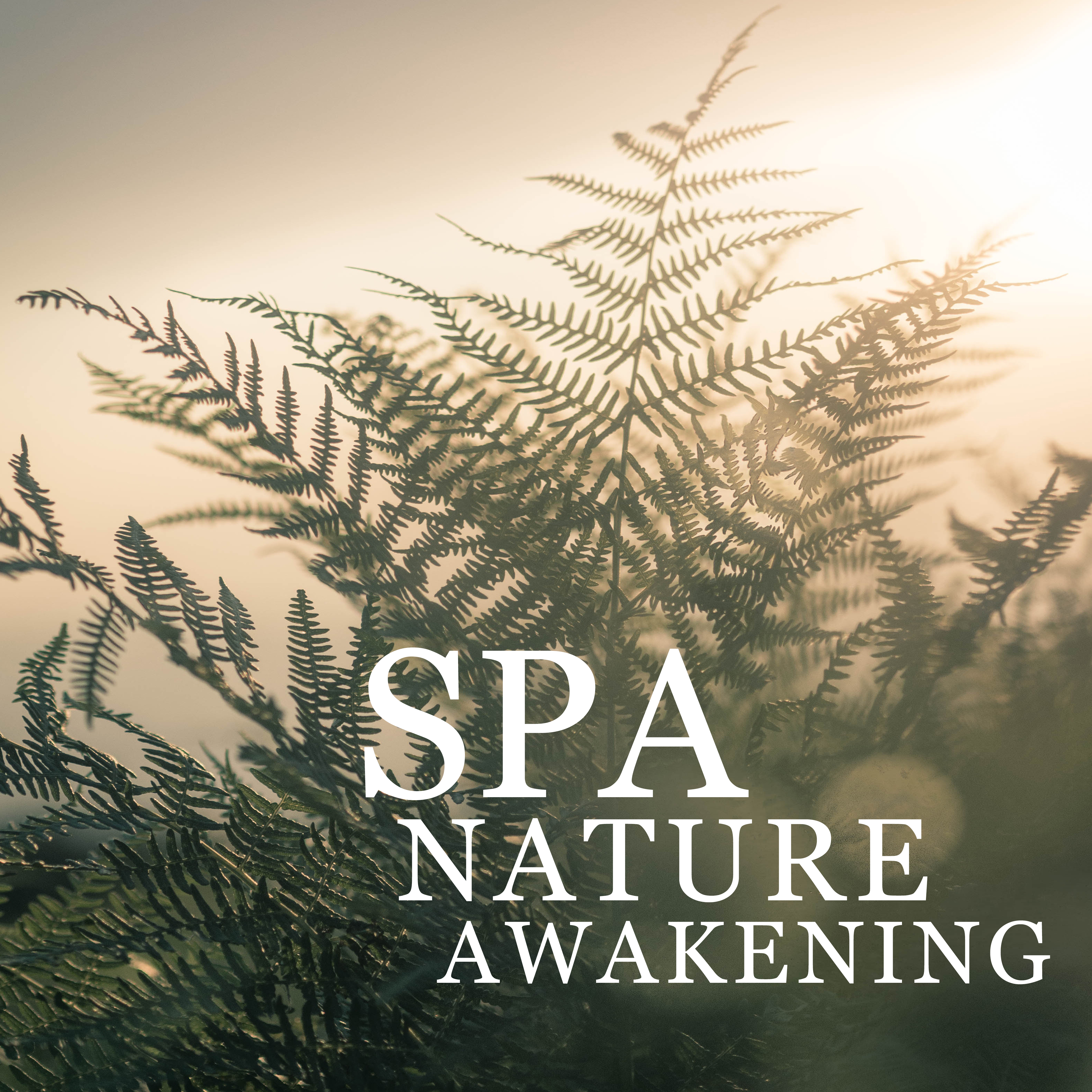 Spa Nature Awakening